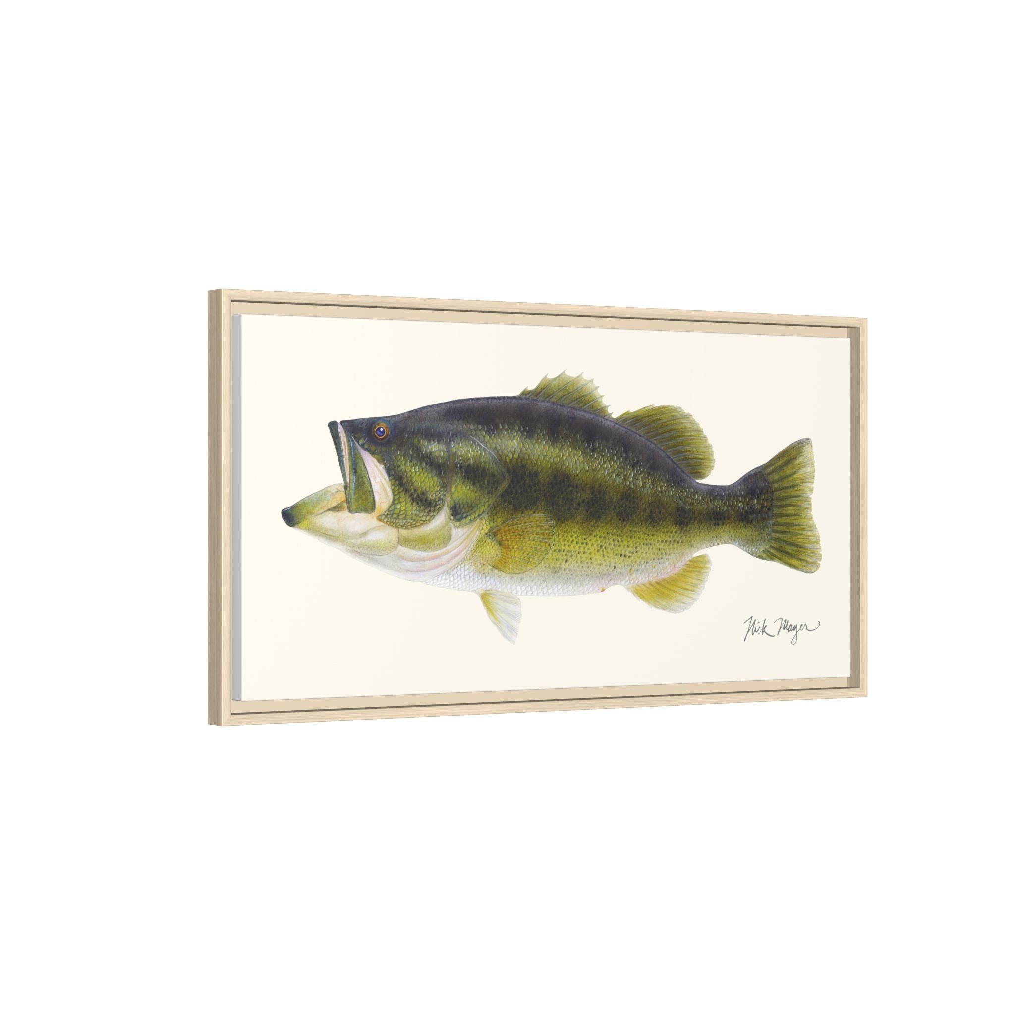 Largemouth Bass I Framed Canvas Print Printify