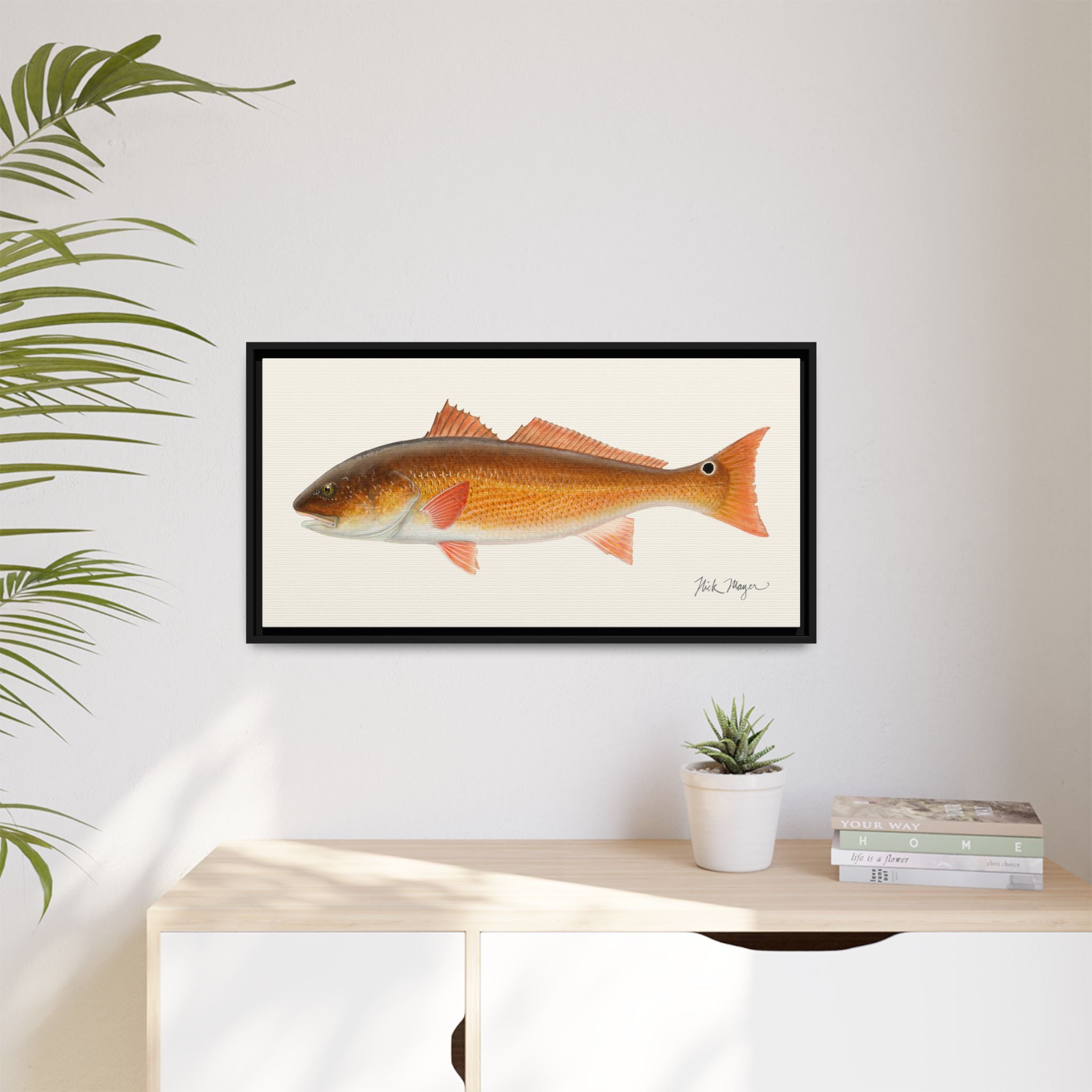 Redfish, 15 lbs Framed Canvas Print Printify