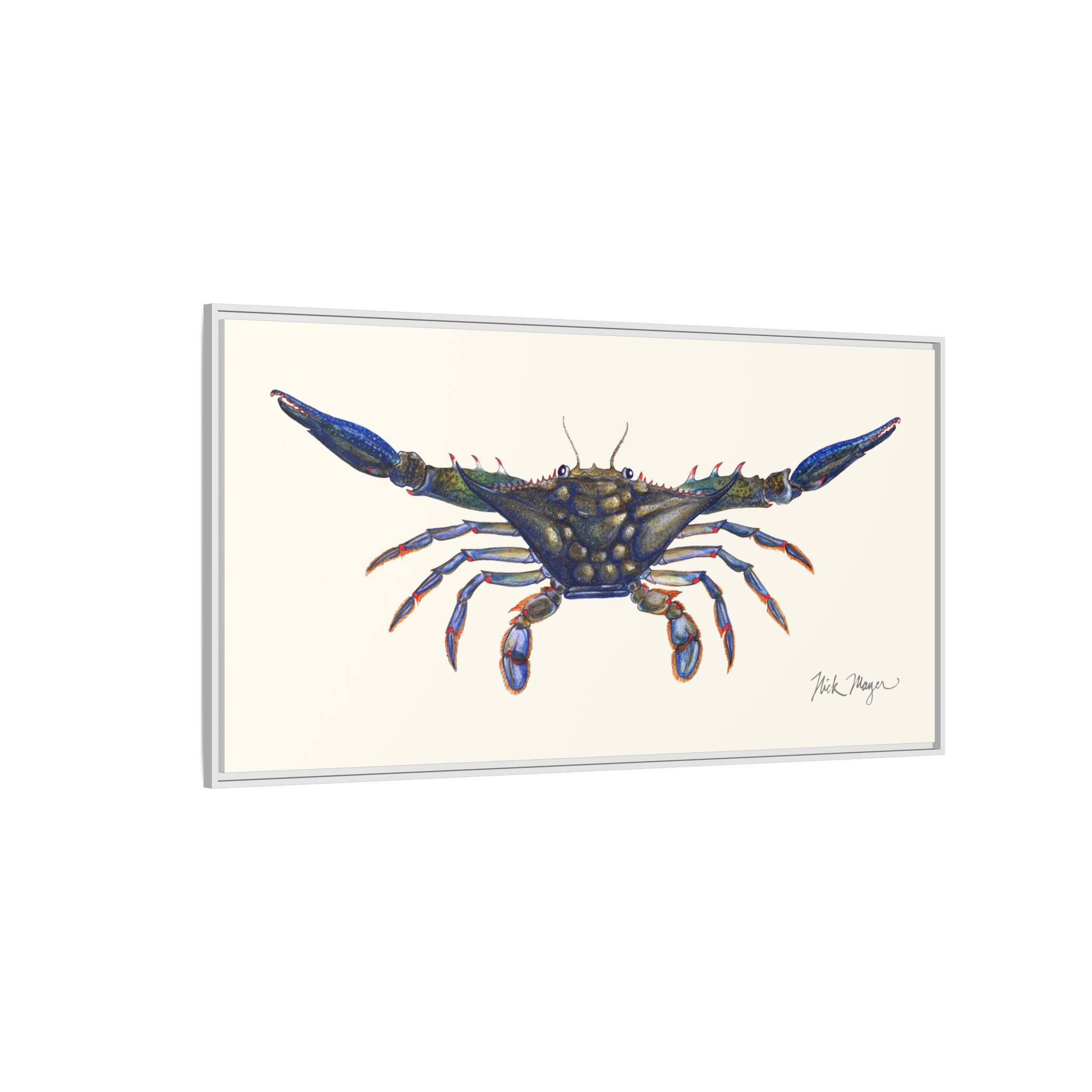Blue Crab, Claws Out Framed Canvas Print Printify