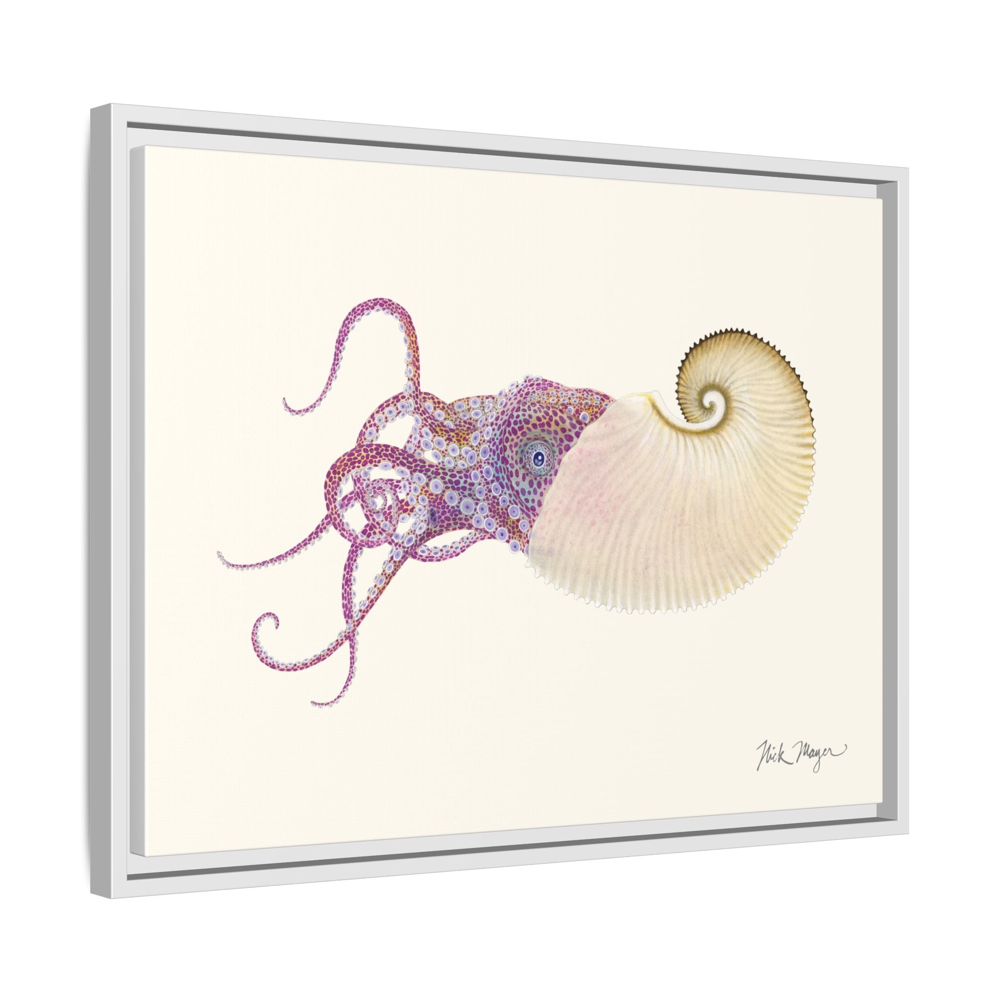 Paper Nautilus Framed Canvas Print Printify