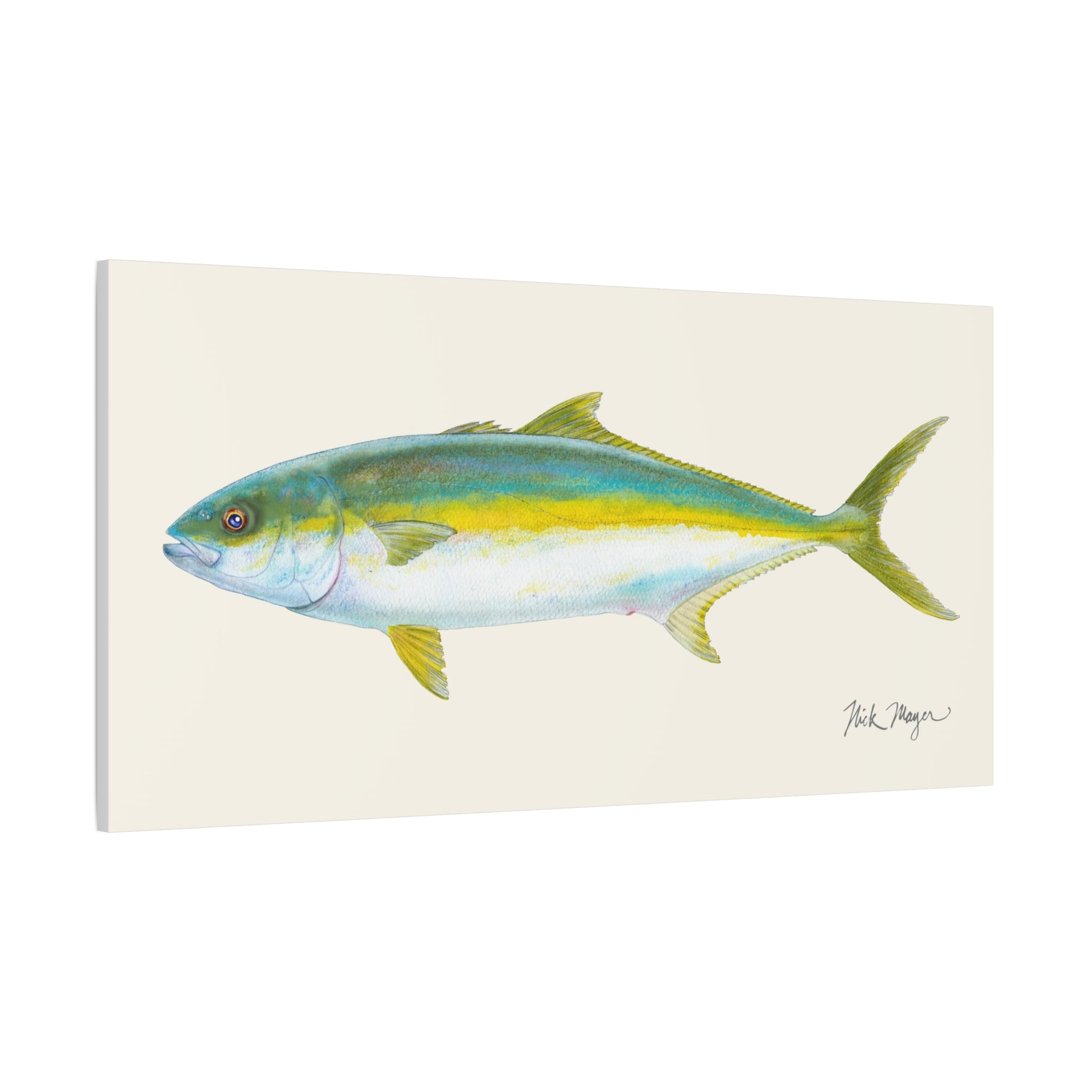 Yellowtail I Canvas Print
