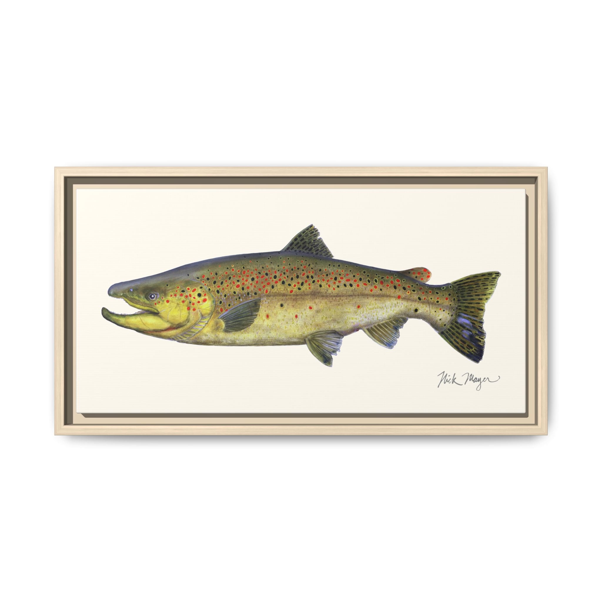 Brown Trout I Framed Canvas Print Printify