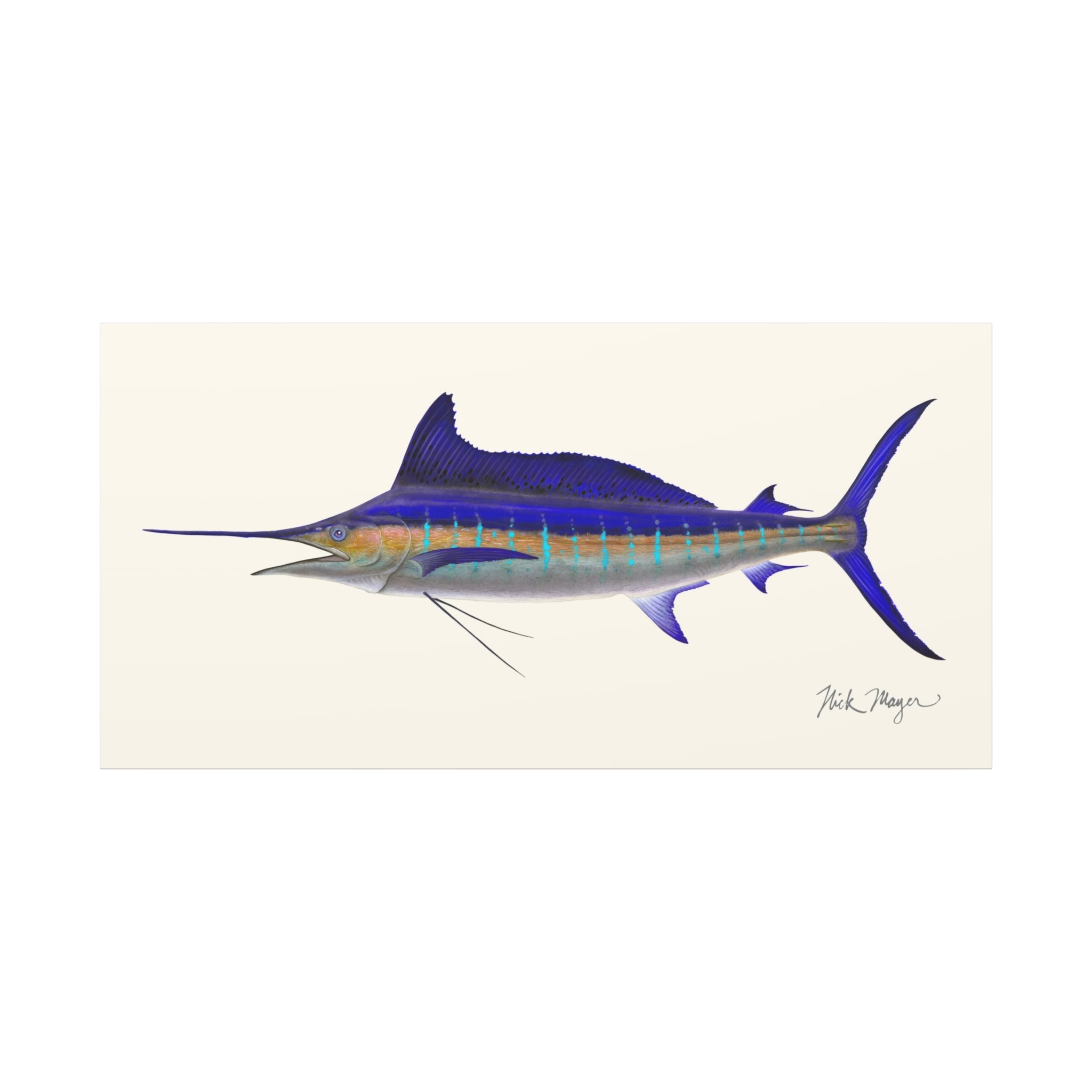 Striped Marlin Canvas Print