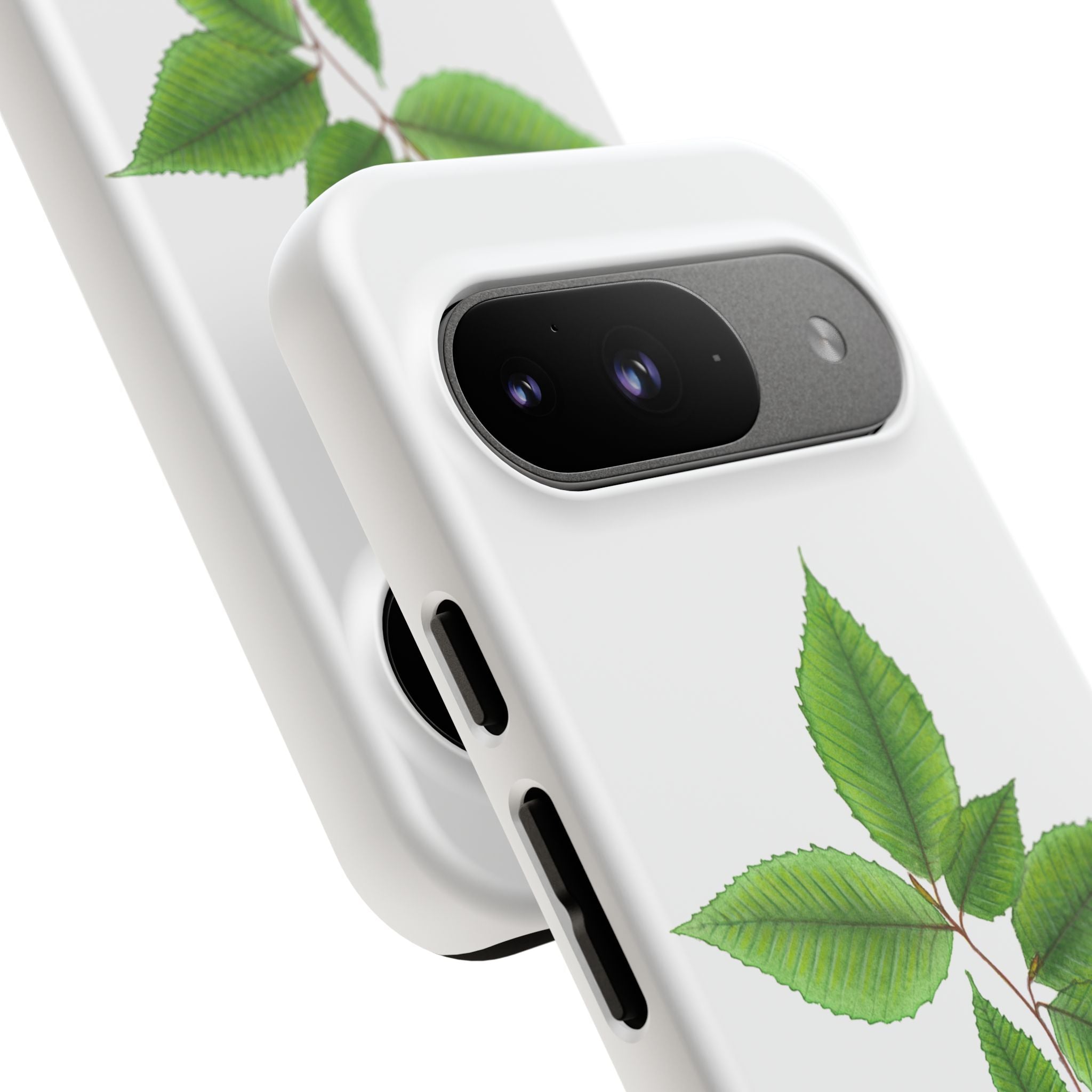 American Beech Phone Case (Samsung)