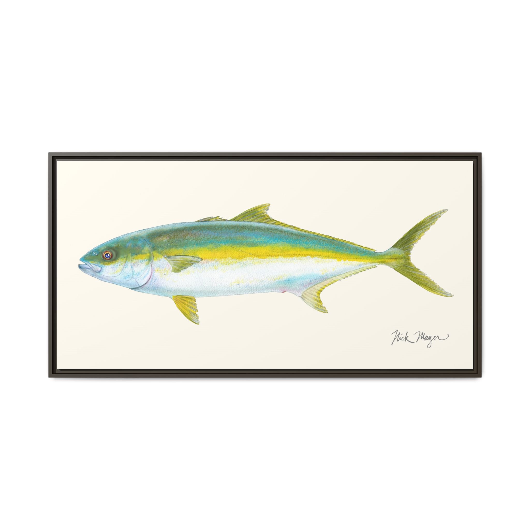 California Yellowtail I Framed Canvas Print Printify