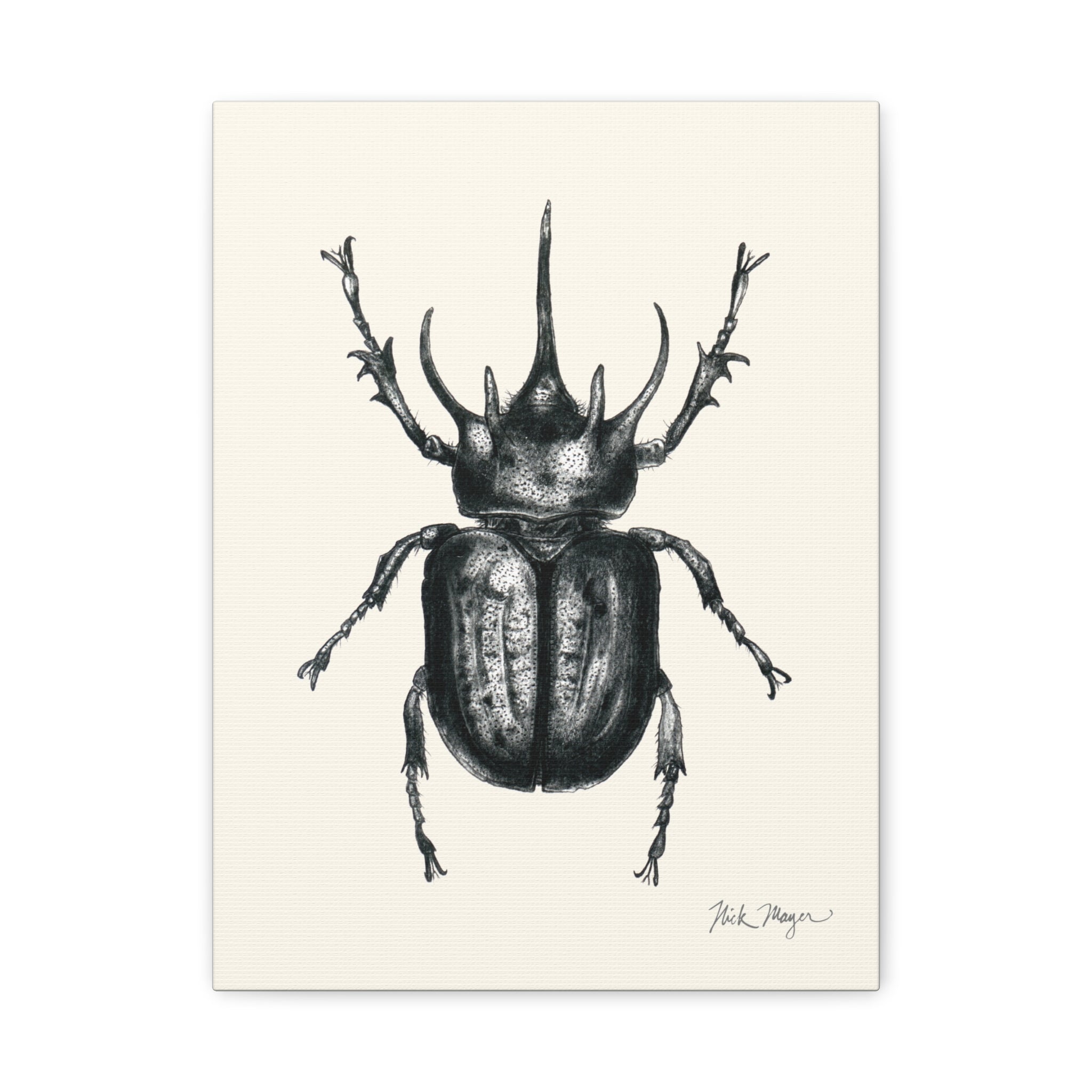 Rhinoceros Beetle Canvas Print