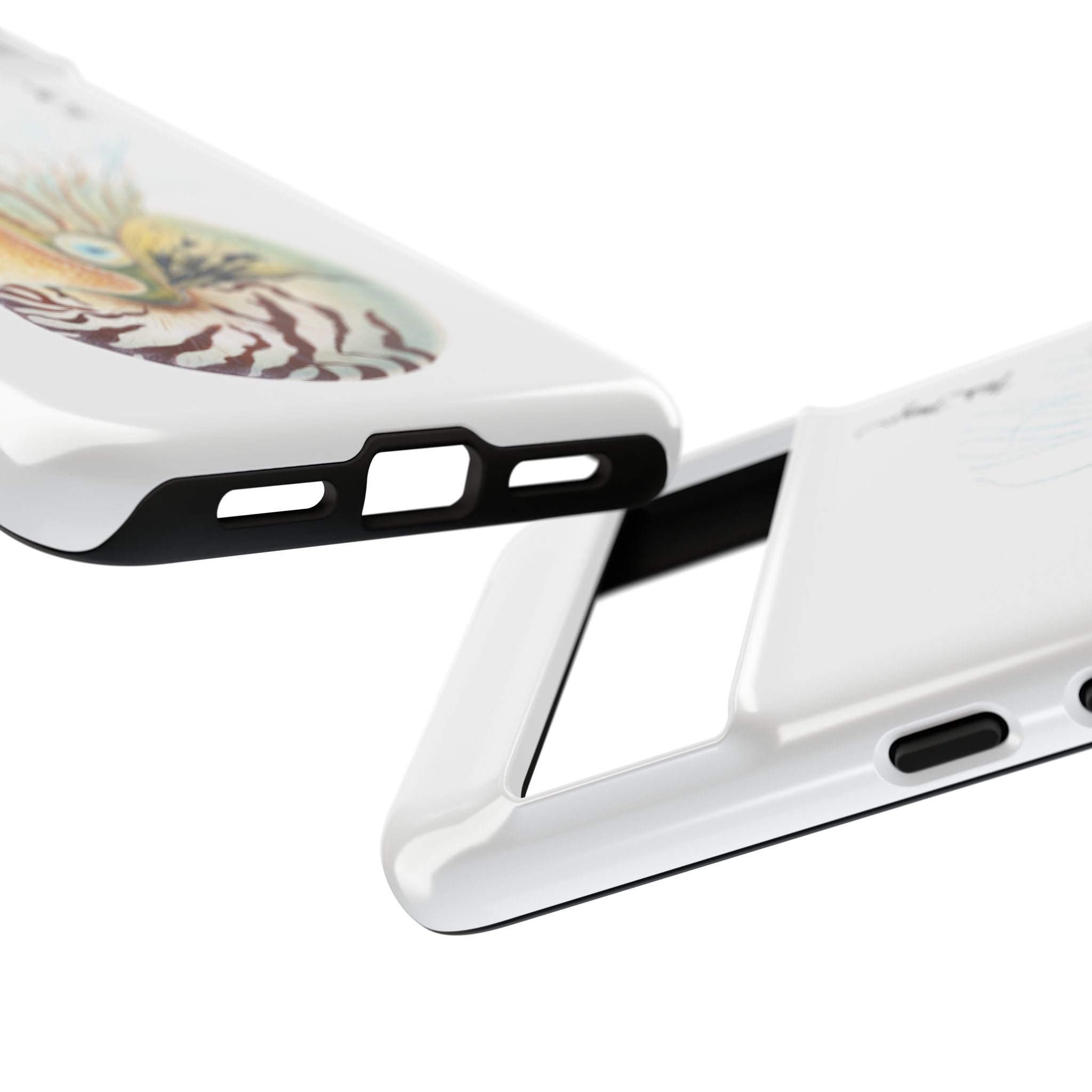 Chambered Nautilus Phone Case (Samsung) Printify