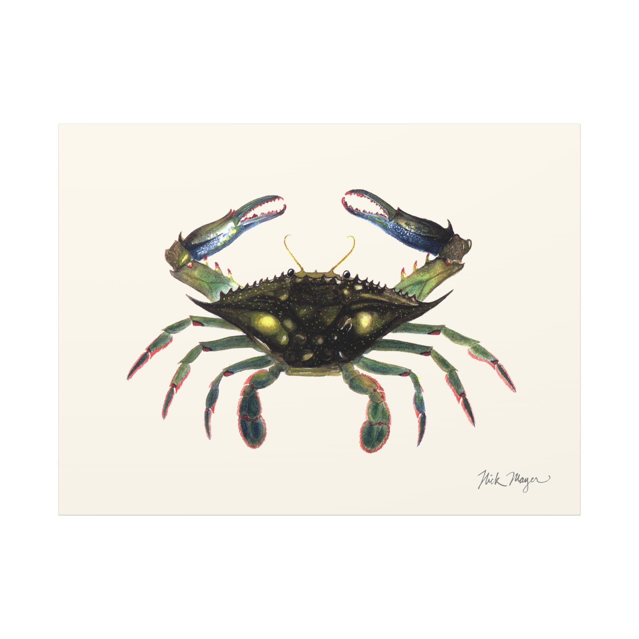Blue Crab Claws In Canvas Print