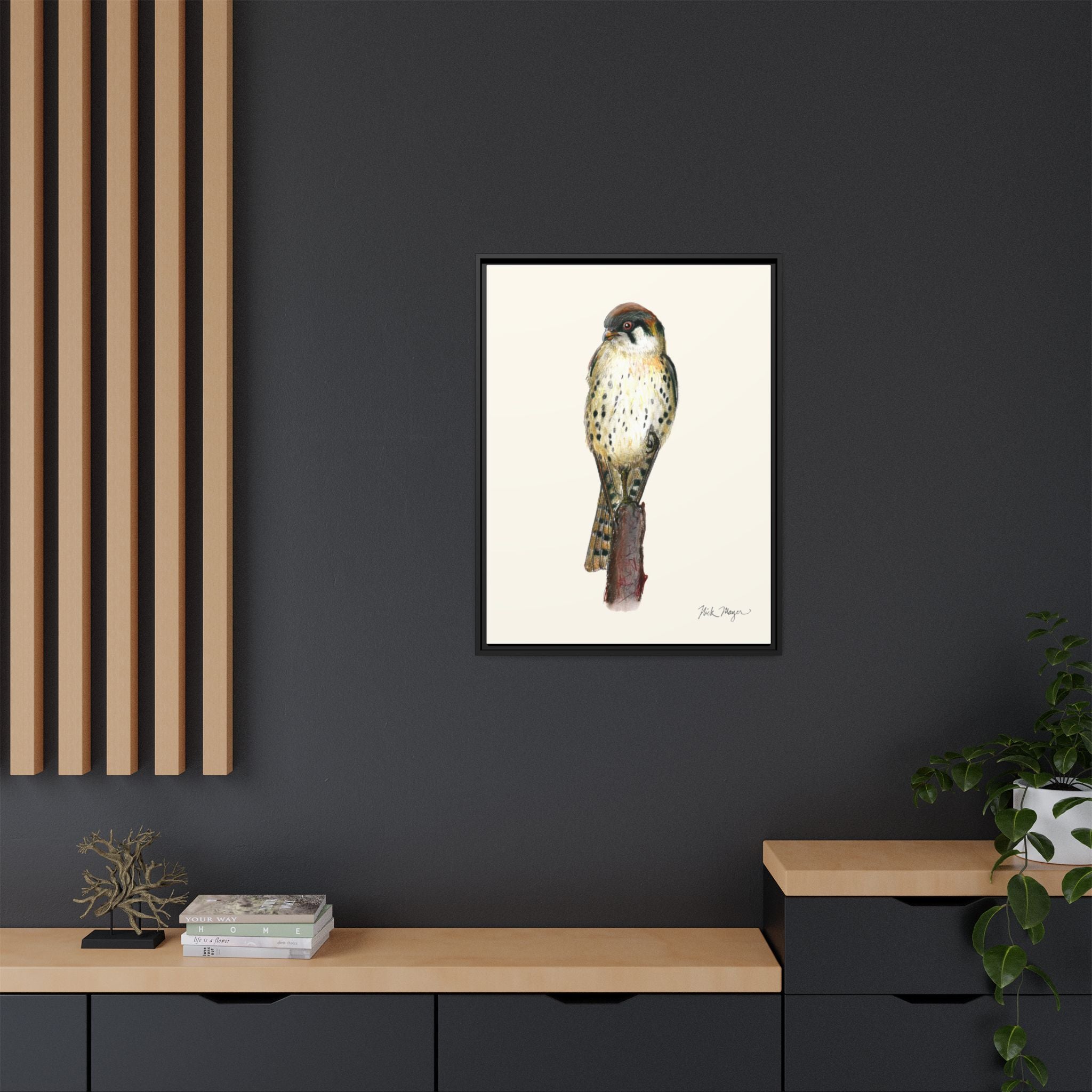 American Kestrel Framed Canvas Print Printify