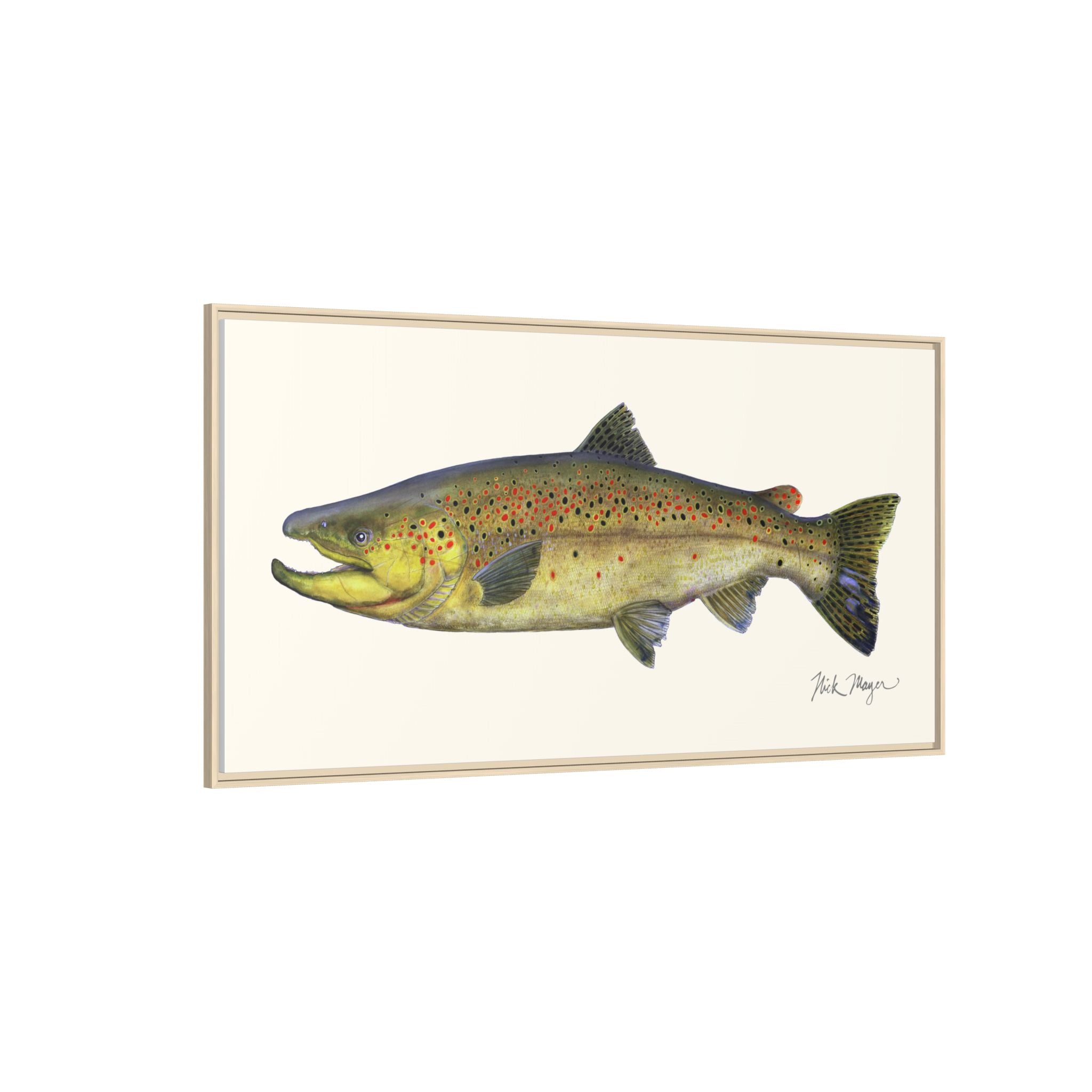 Brown Trout I Framed Canvas Print Printify