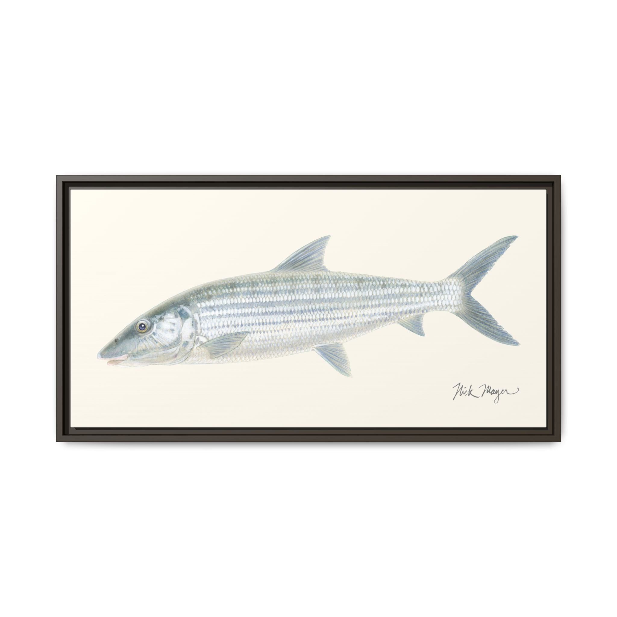 Bonefish Framed Canvas Print Printify