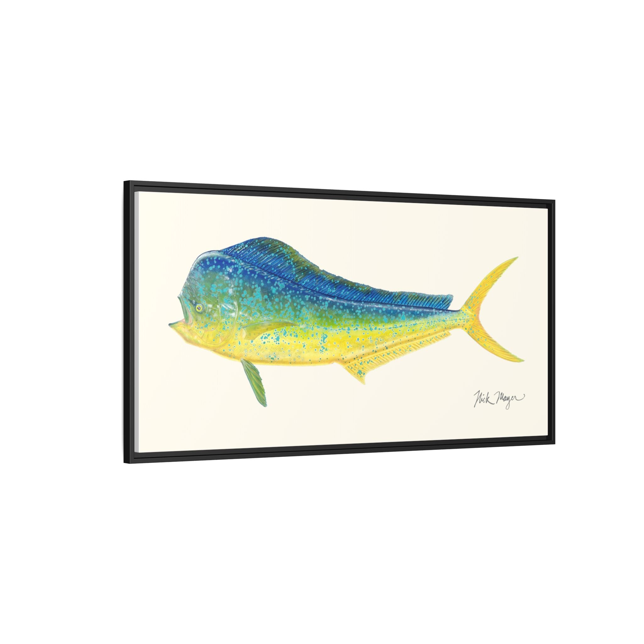 Bull Mahi Mahi Framed Canvas Print