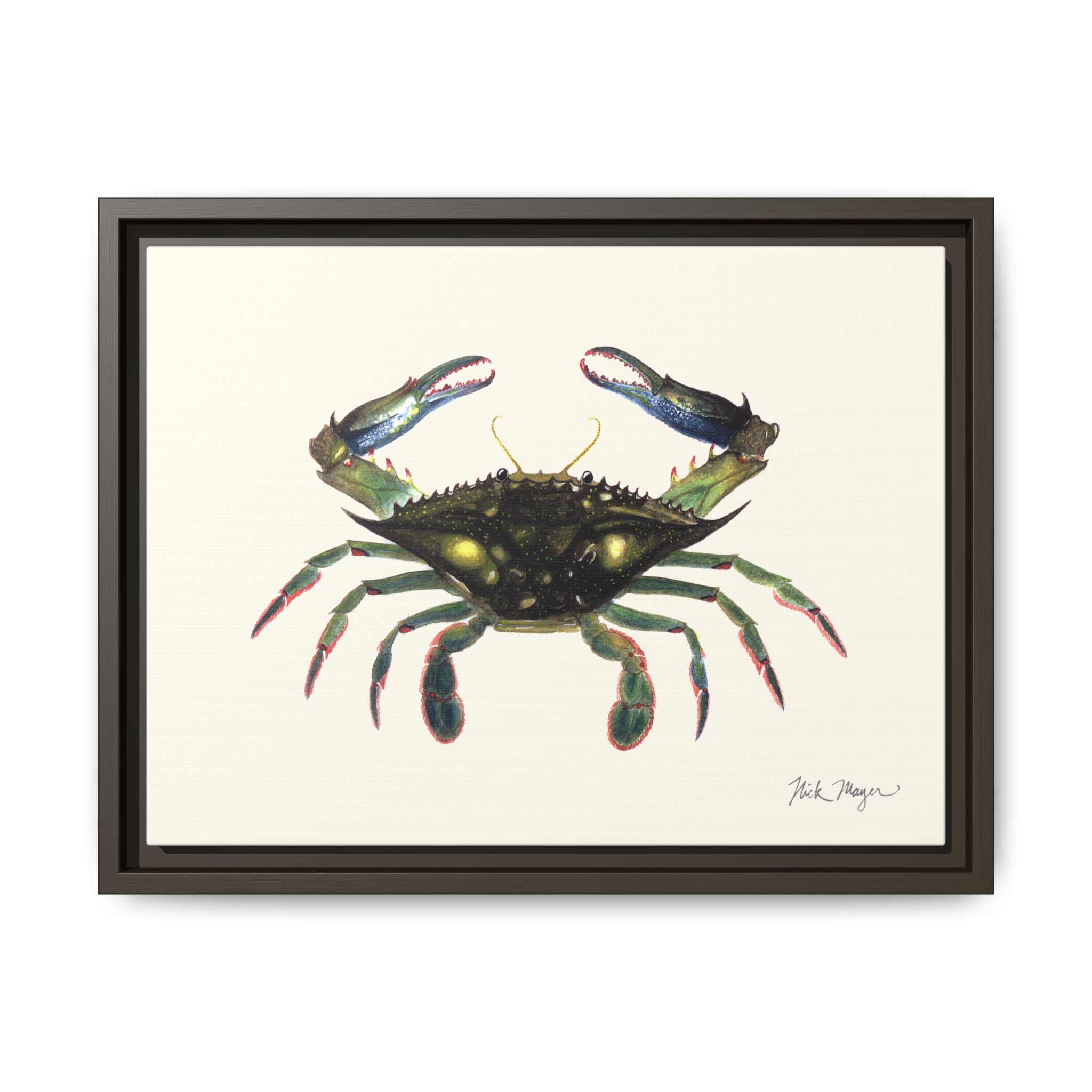 Blue Crab, Claws in Framed Canvas Print Printify