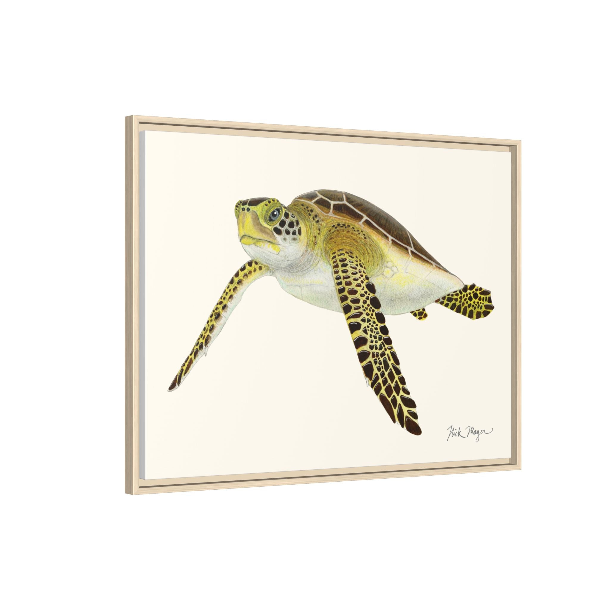 Green Sea Turtle III Framed Canvas Print Printify