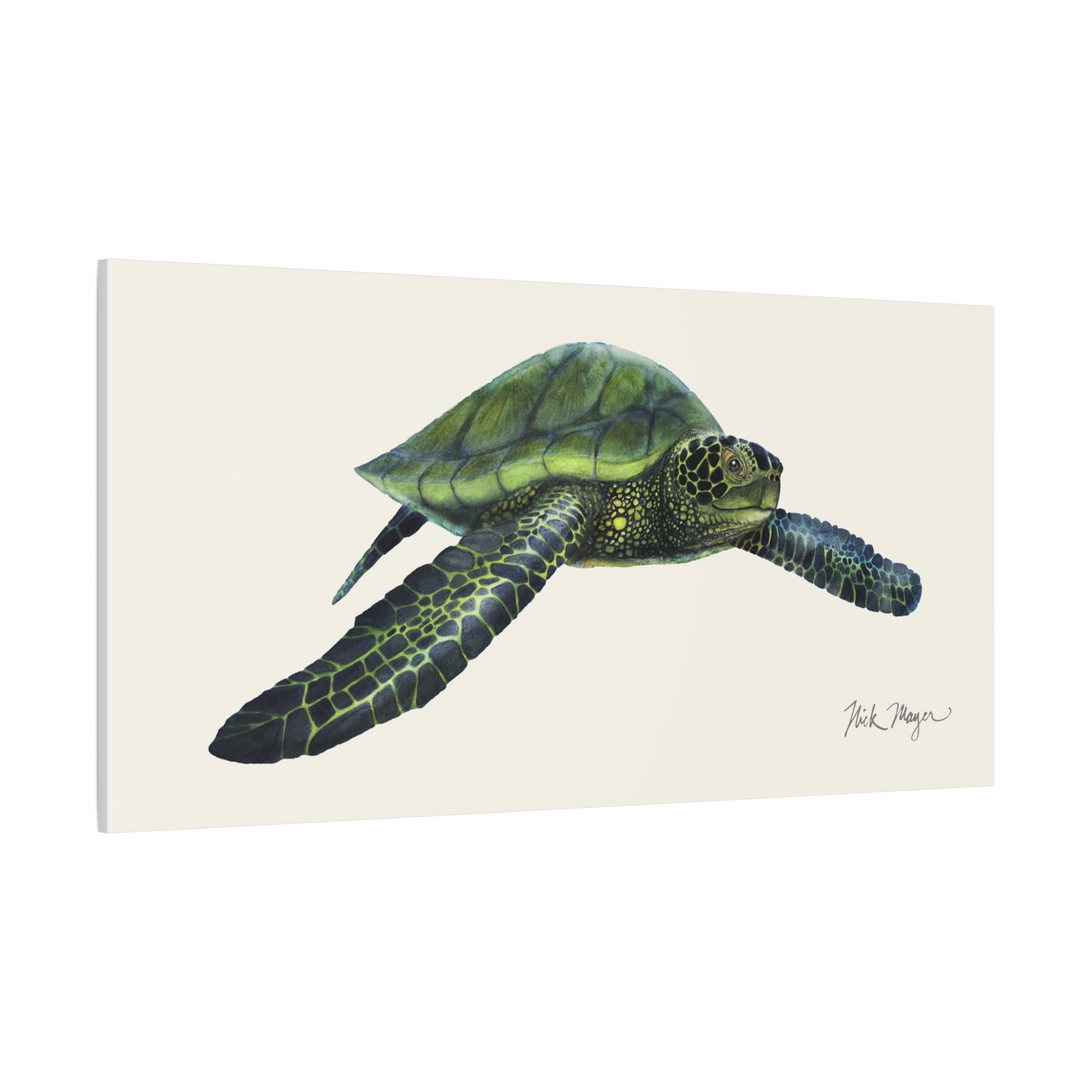 Green Sea Turtle I Canvas Print Printify