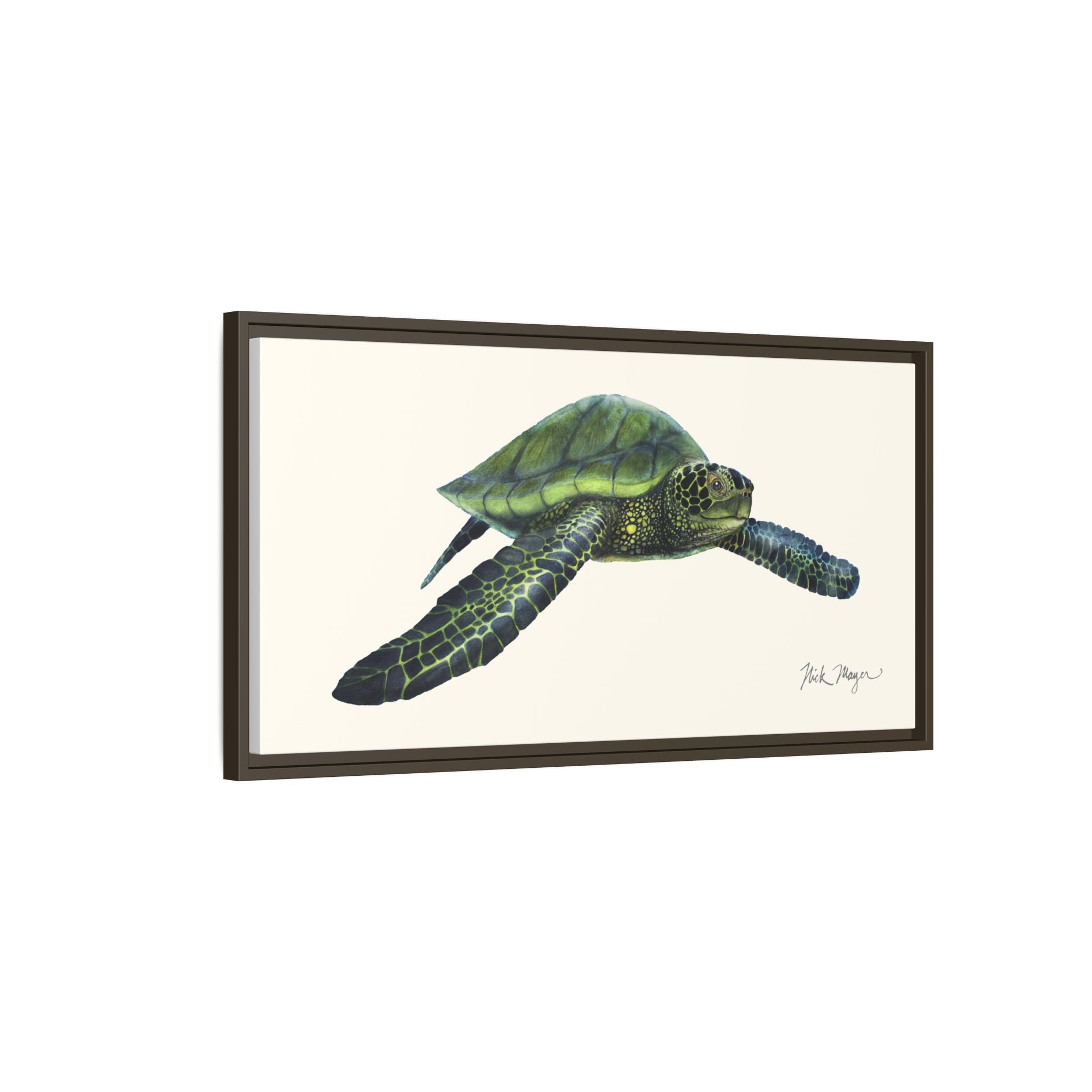 Green Sea Turtle I Framed Canvas Print Printify