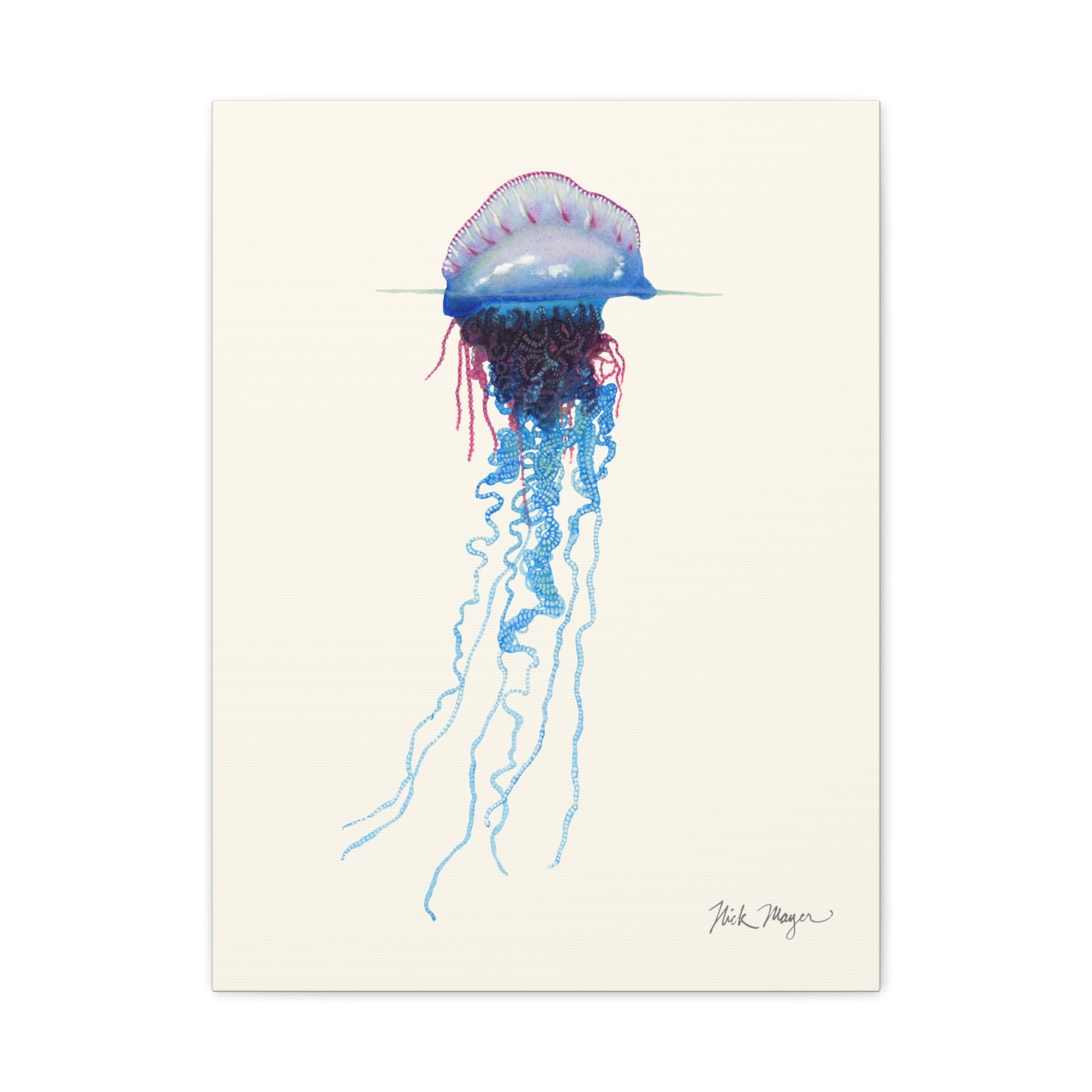 Portuguese Man O' War Canvas Print