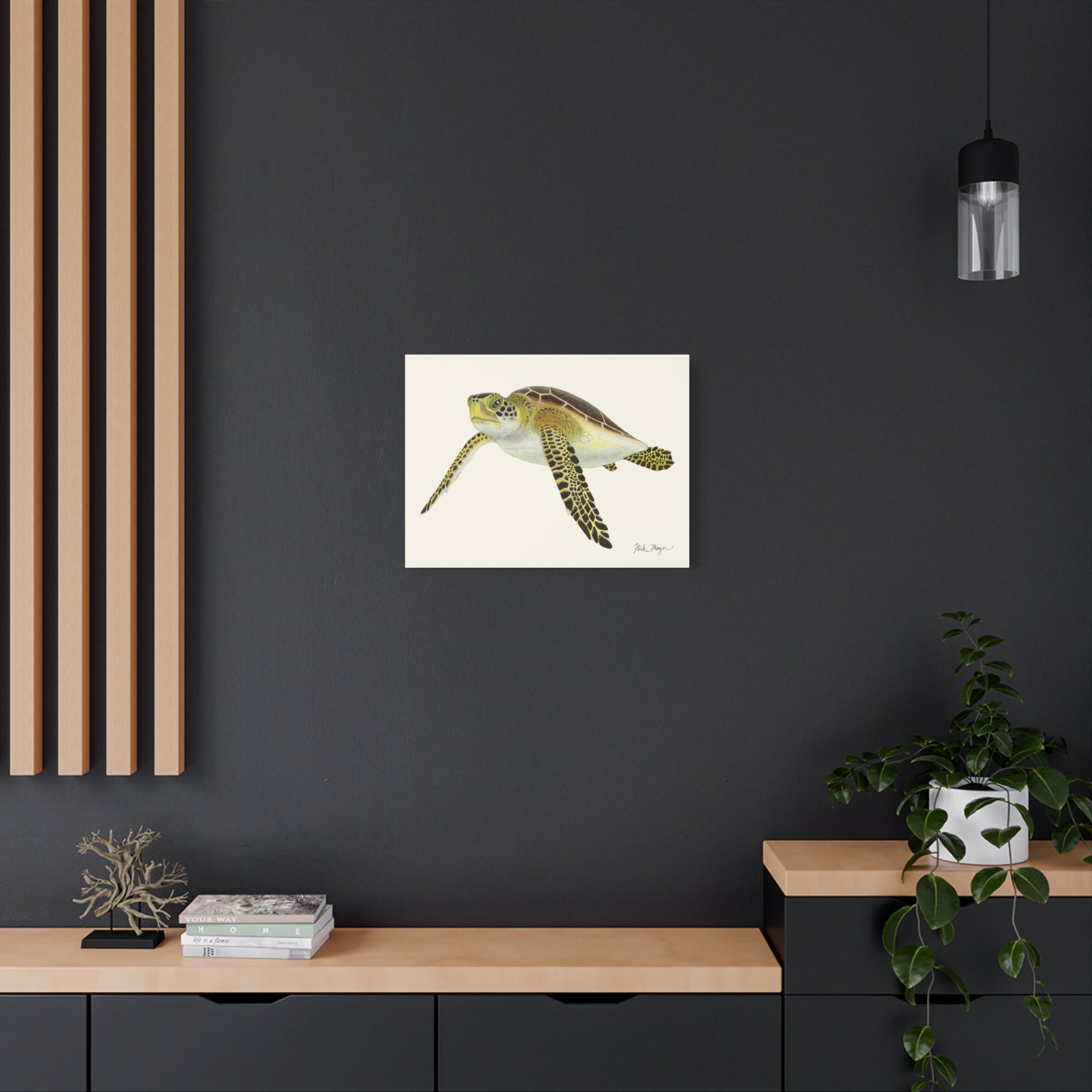 Juvenile Green Sea Turtle III Canvas Print