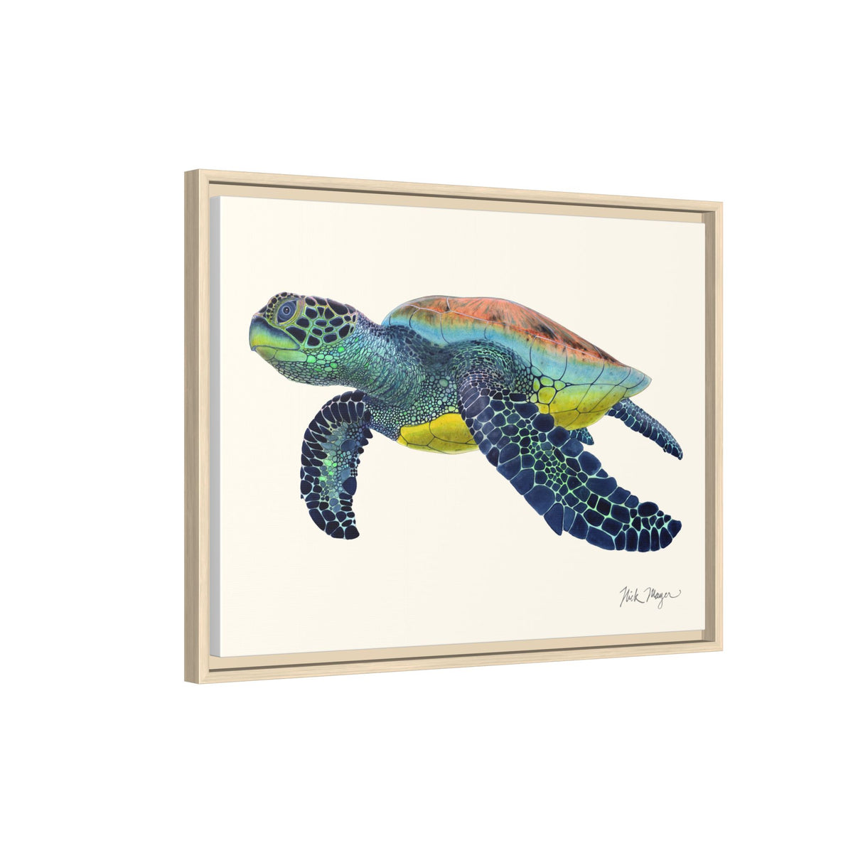 Green Sea Turtle II Framed Canvas Print Printify