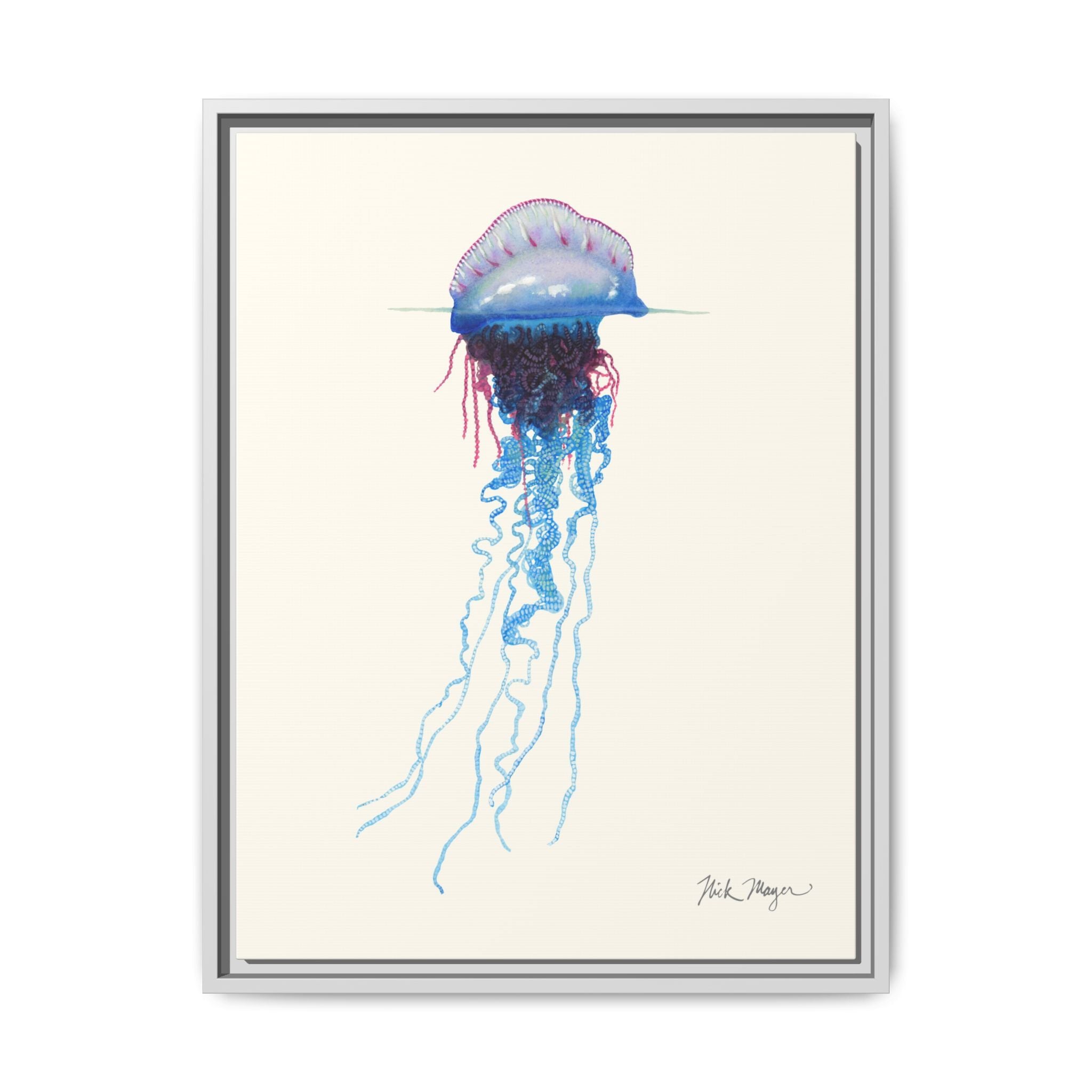 Portuguese Man O' War Framed Canvas Print Printify
