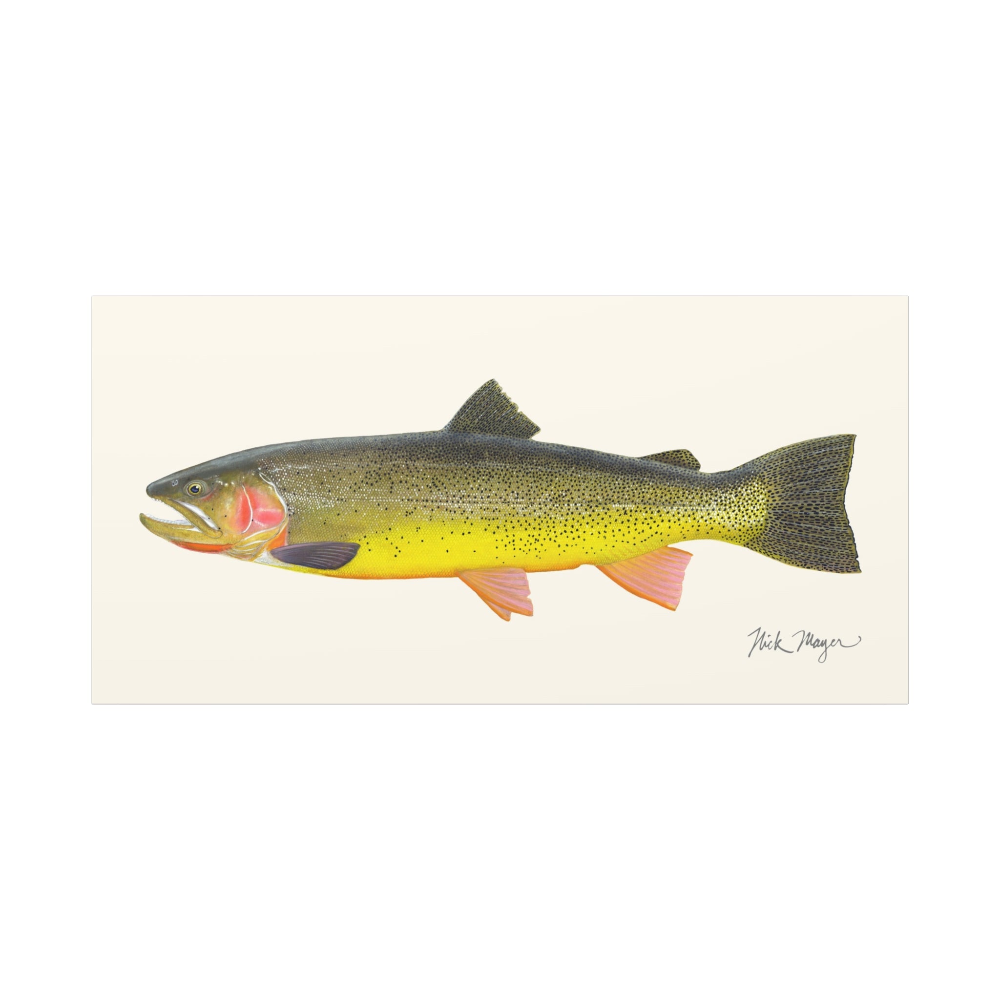 Cutthroat Trout III Canvas Print Printify