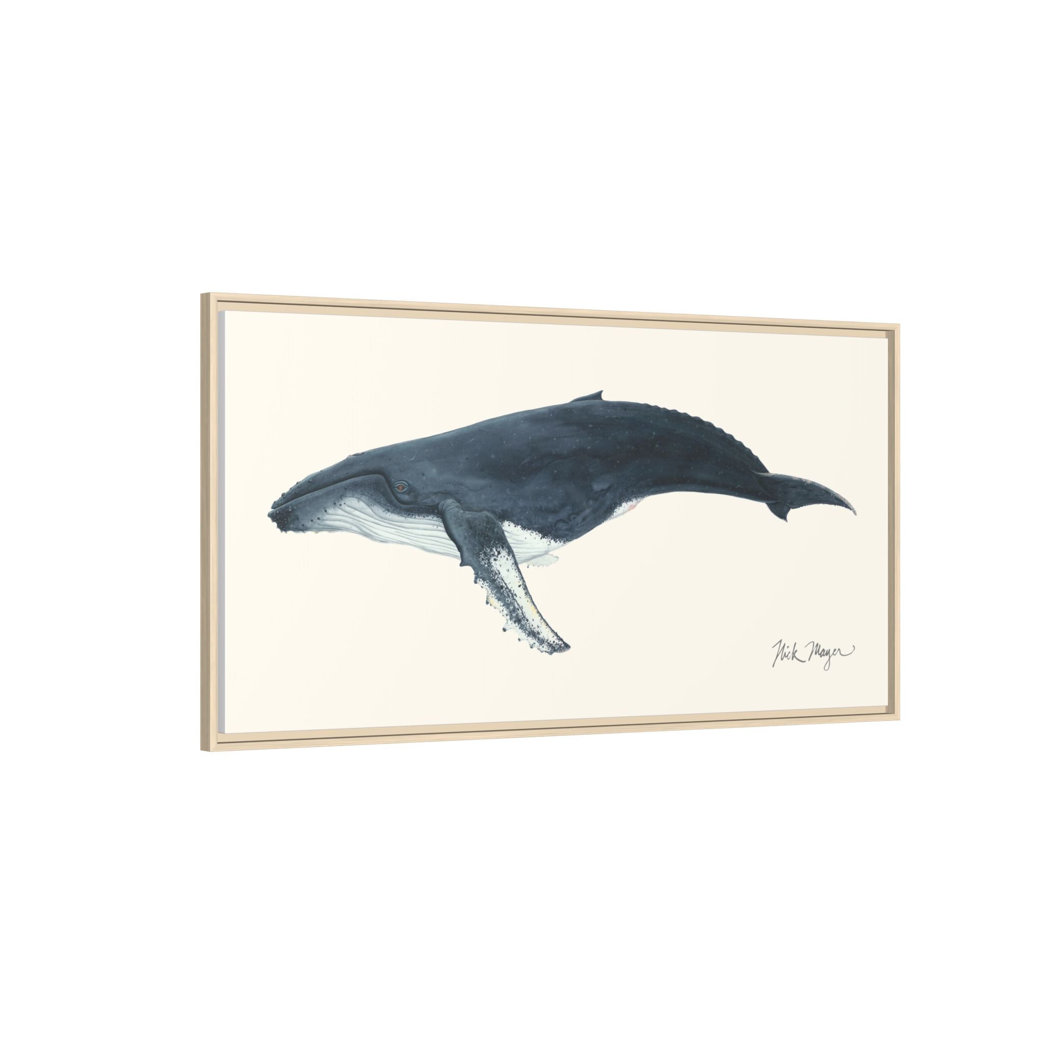 Humpback Whale Framed Canvas Print Printify