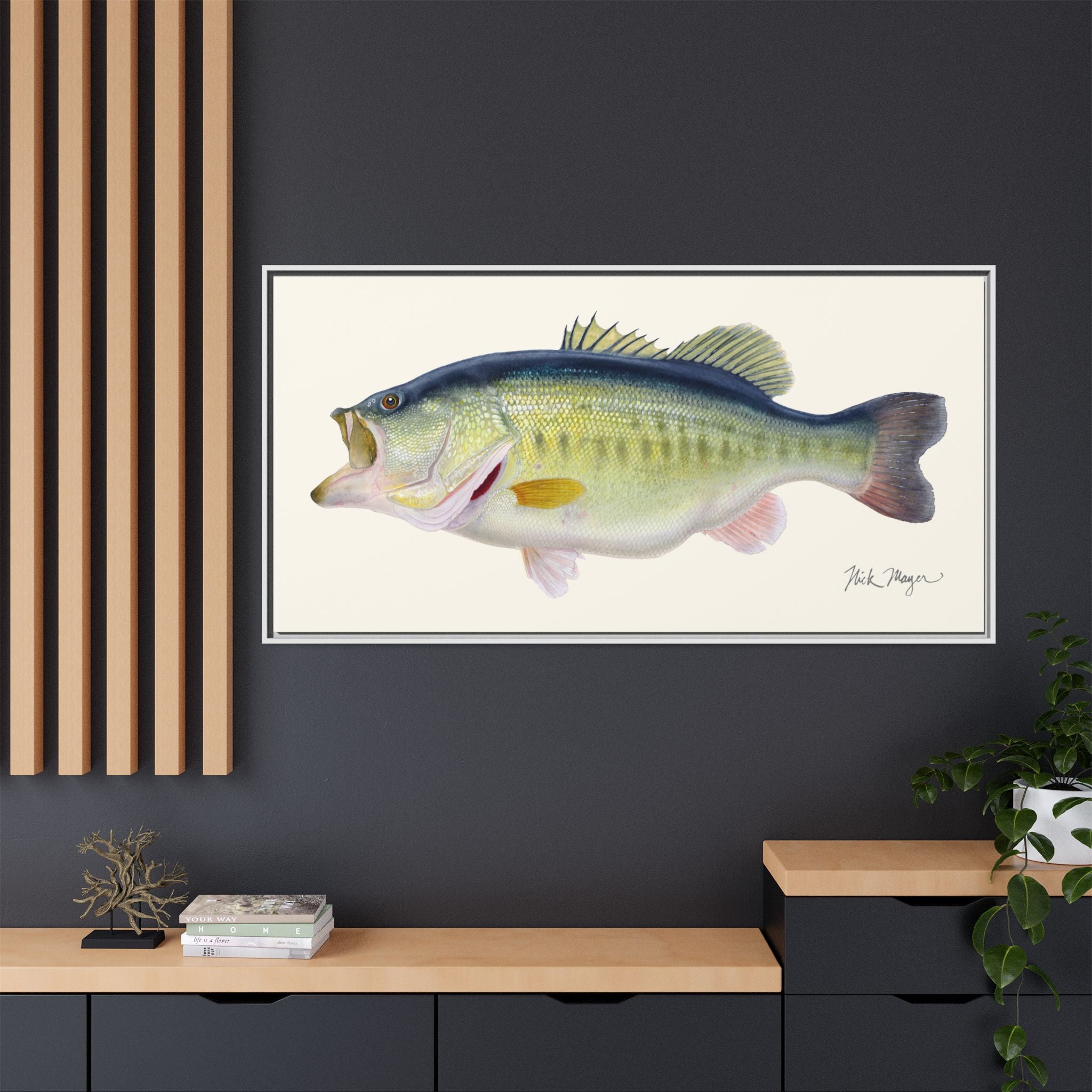 Largemouth Bass 3 Framed Canvas Print