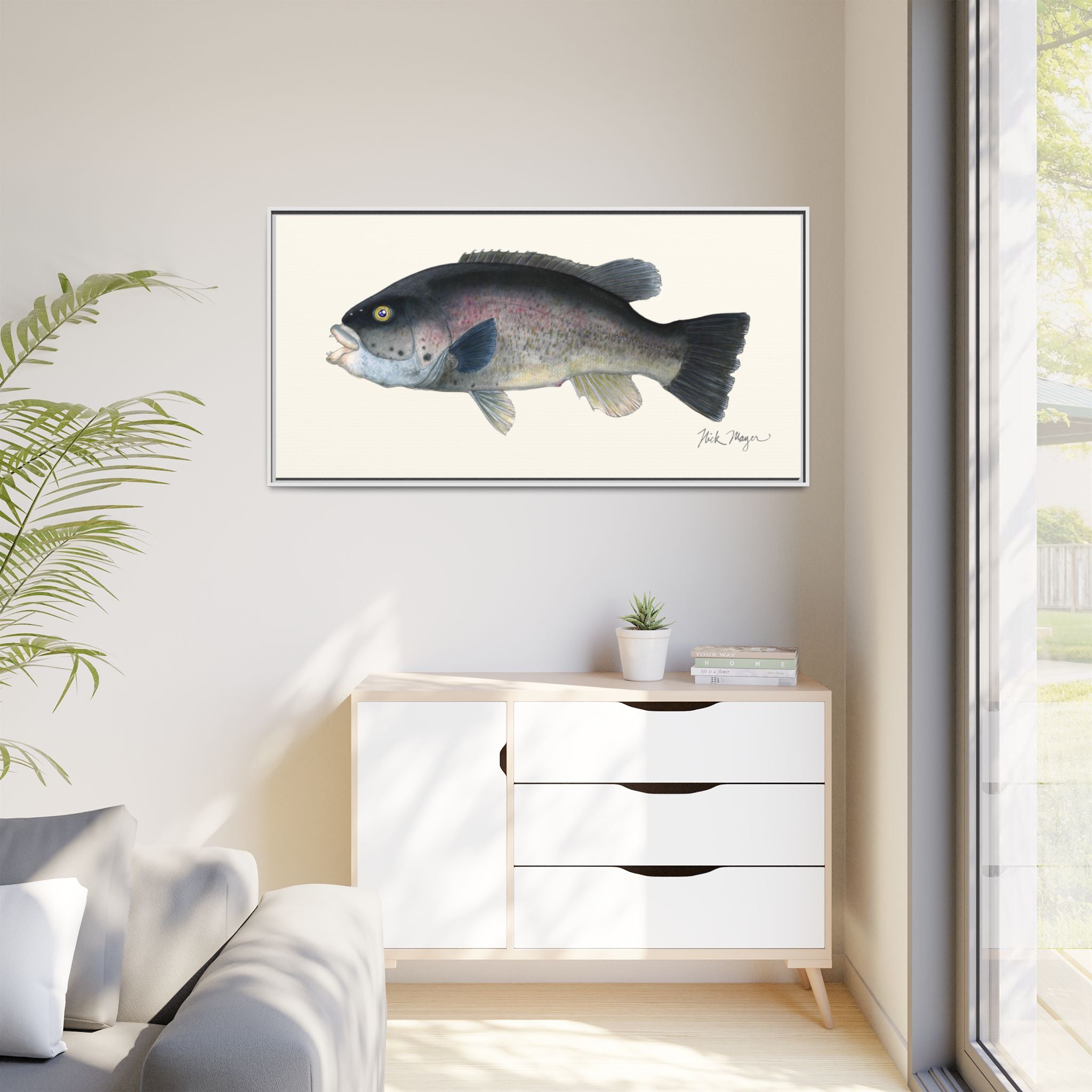 Tautog / Blackfish Framed Canvas Print Printify