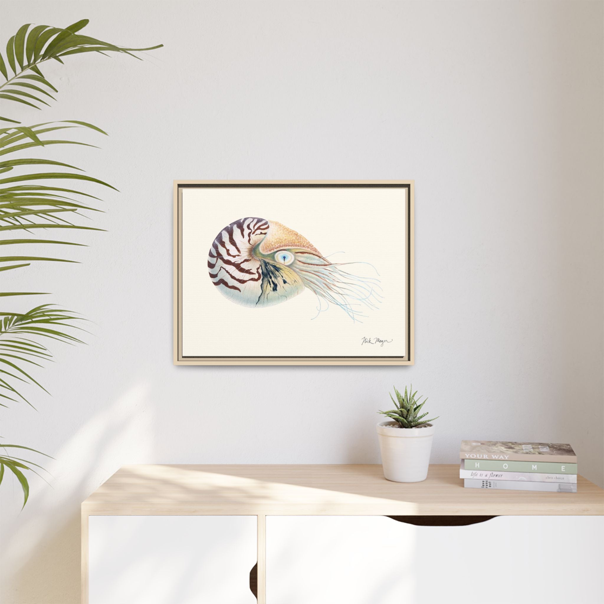 Chambered Nautilus Framed Canvas Print Printify