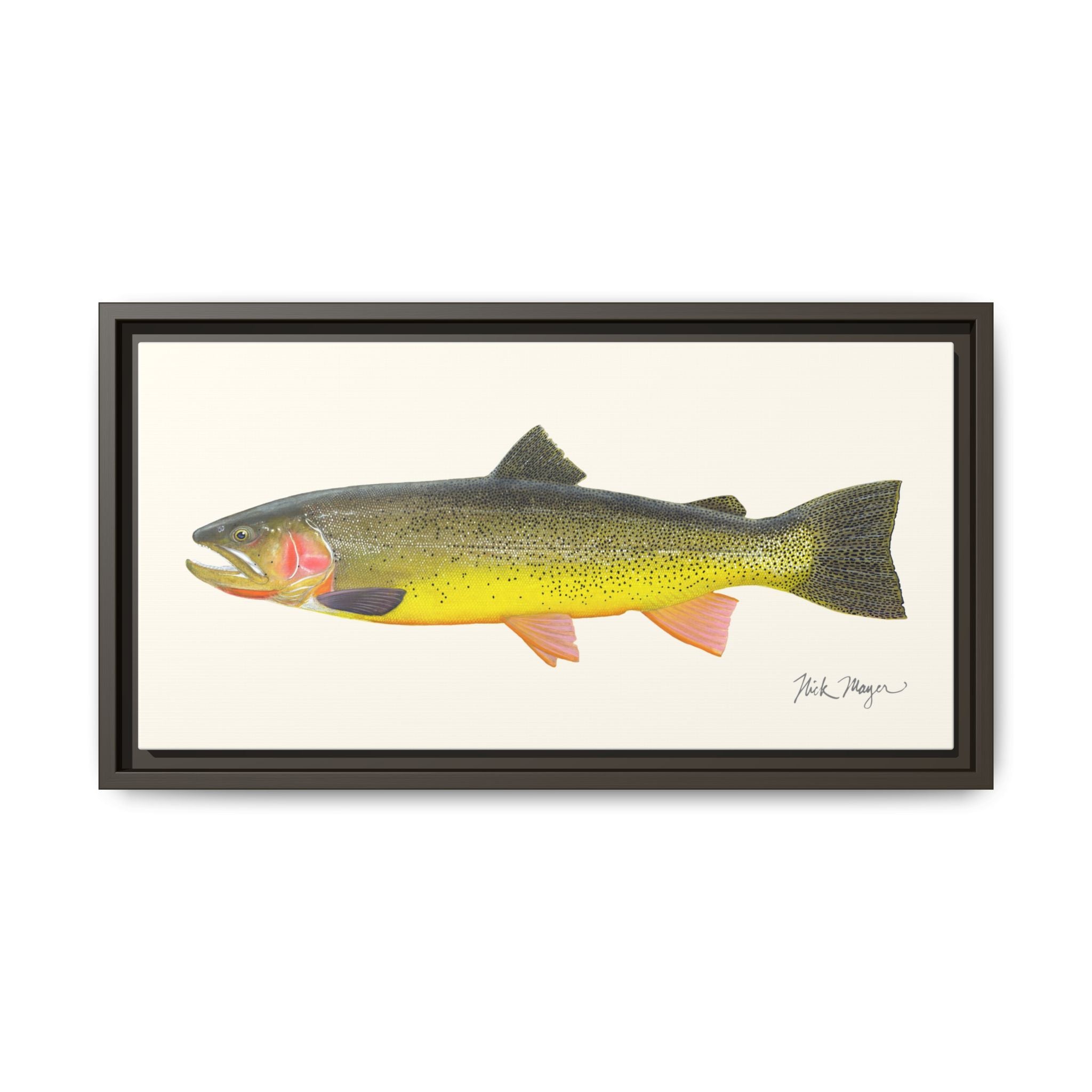 Cutthroat Trout III Framed Canvas Print Printify