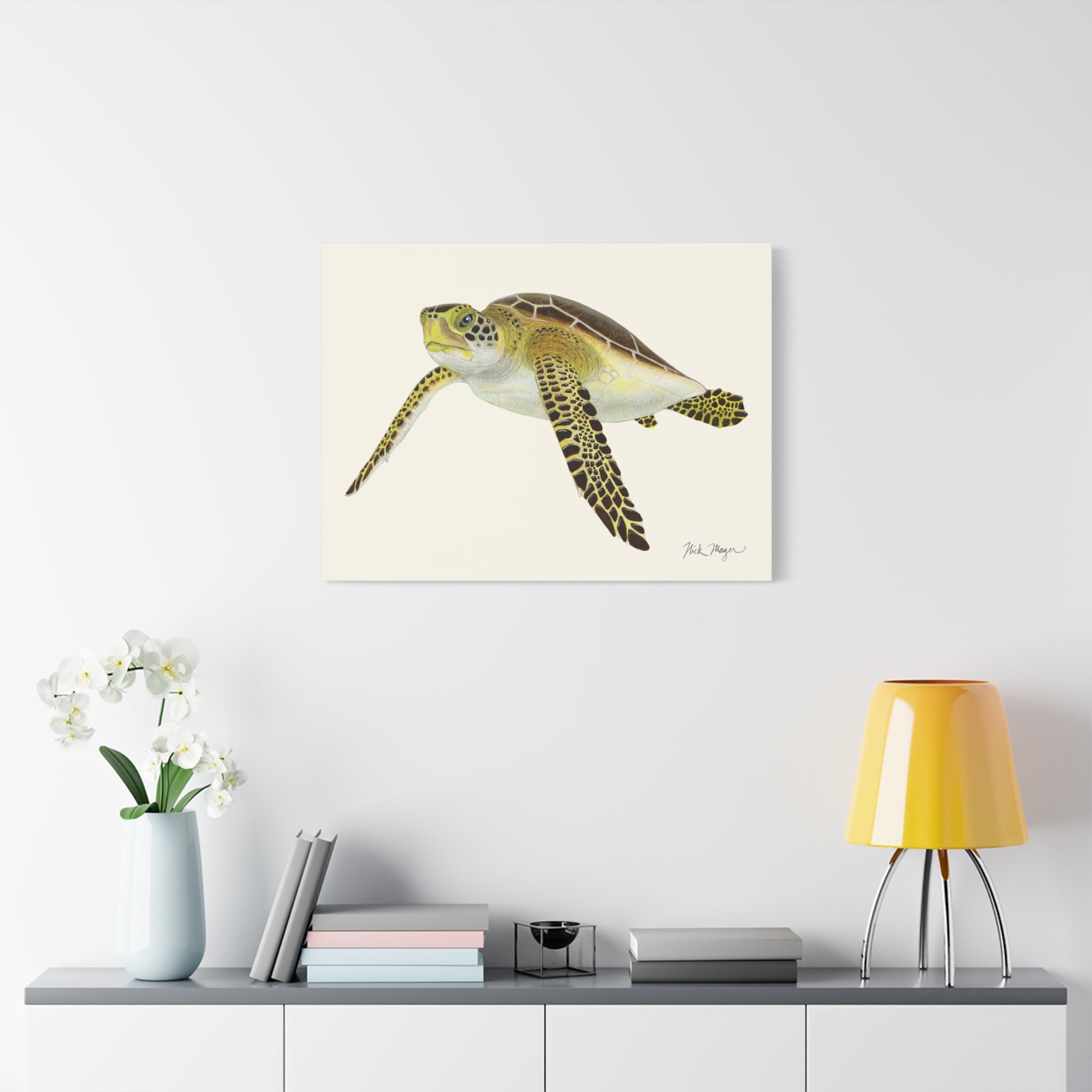 Juvenile Green Sea Turtle III Canvas Print