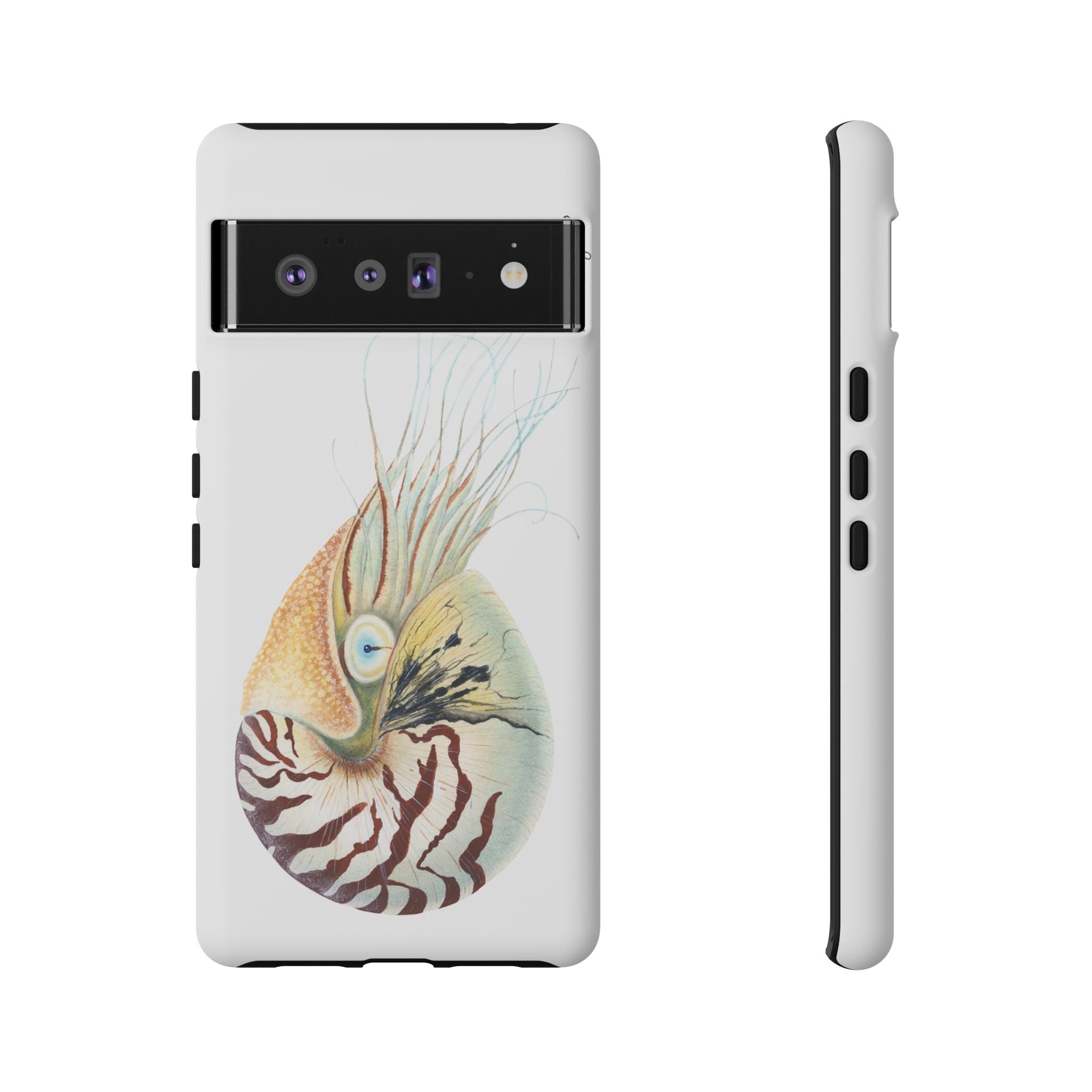 Chambered Nautilus Phone Case (Samsung) Printify
