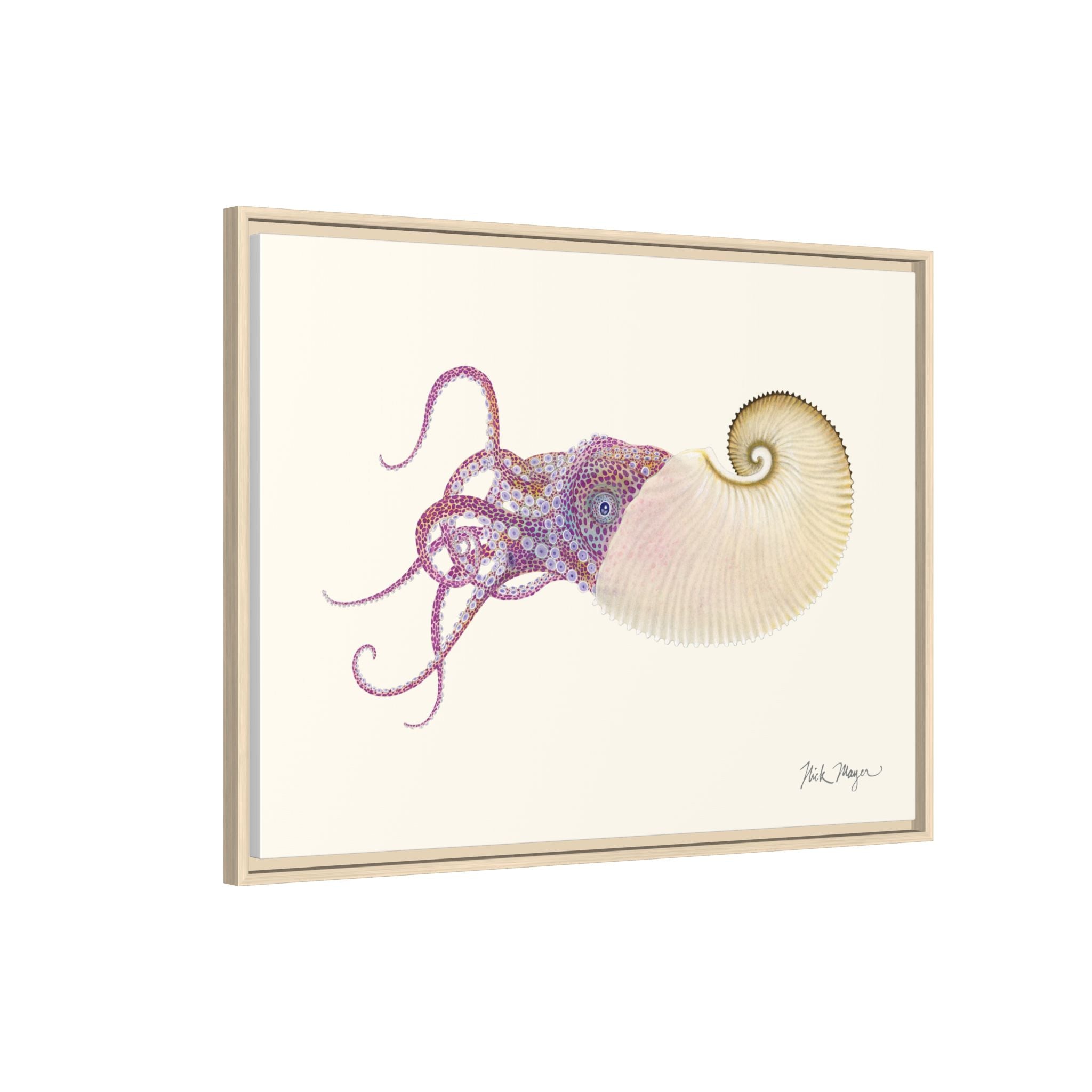 Paper Nautilus Framed Canvas Print Printify