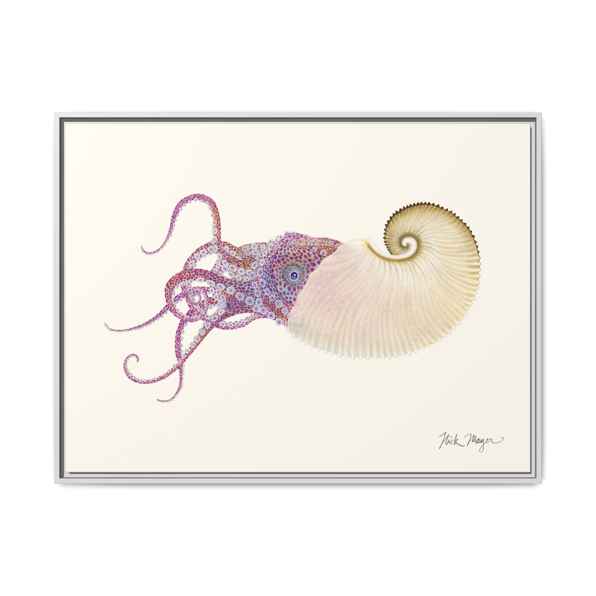 Paper Nautilus Framed Canvas Print Printify