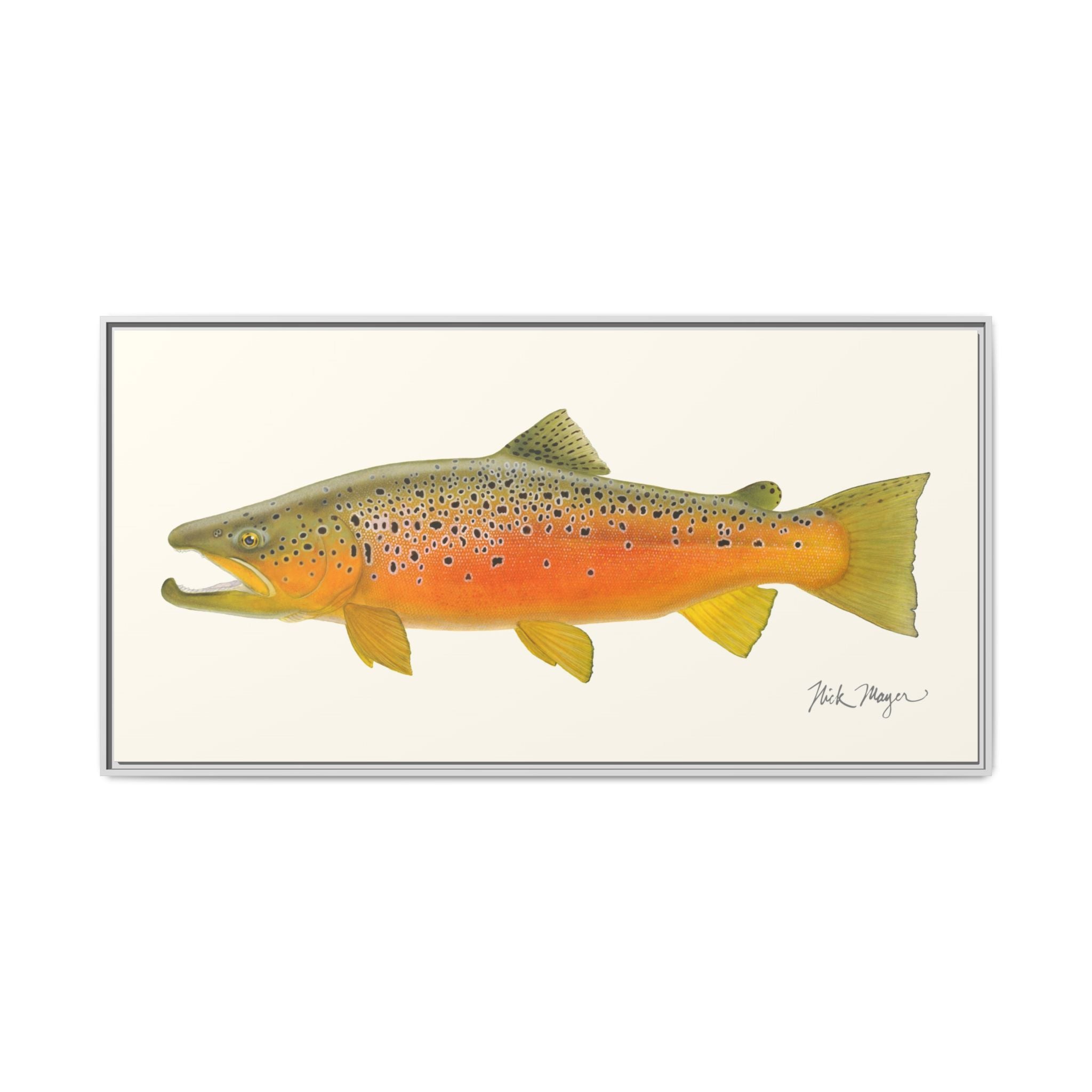 Brown Trout II Framed Canvas Print Printify