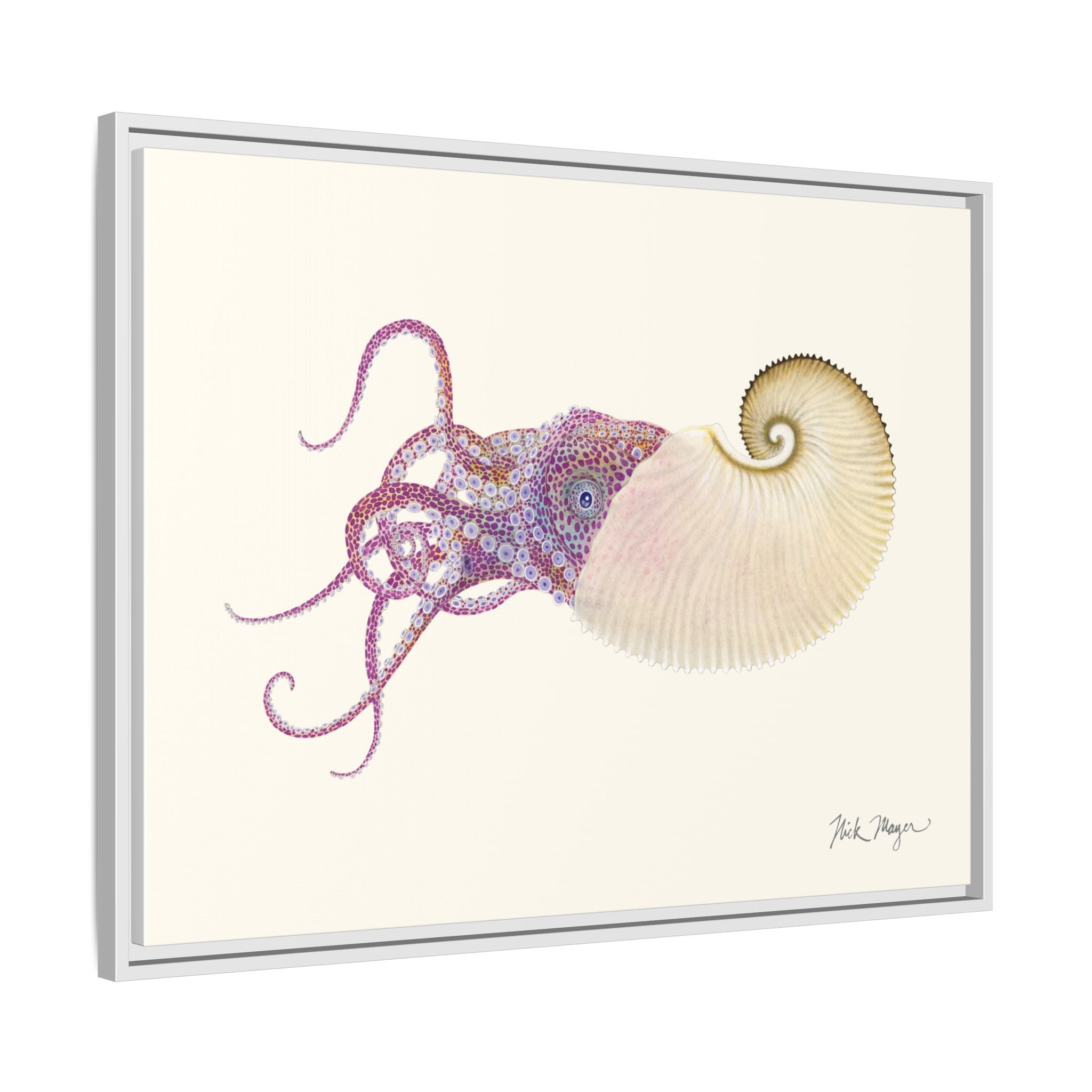 Paper Nautilus Framed Canvas Print Printify