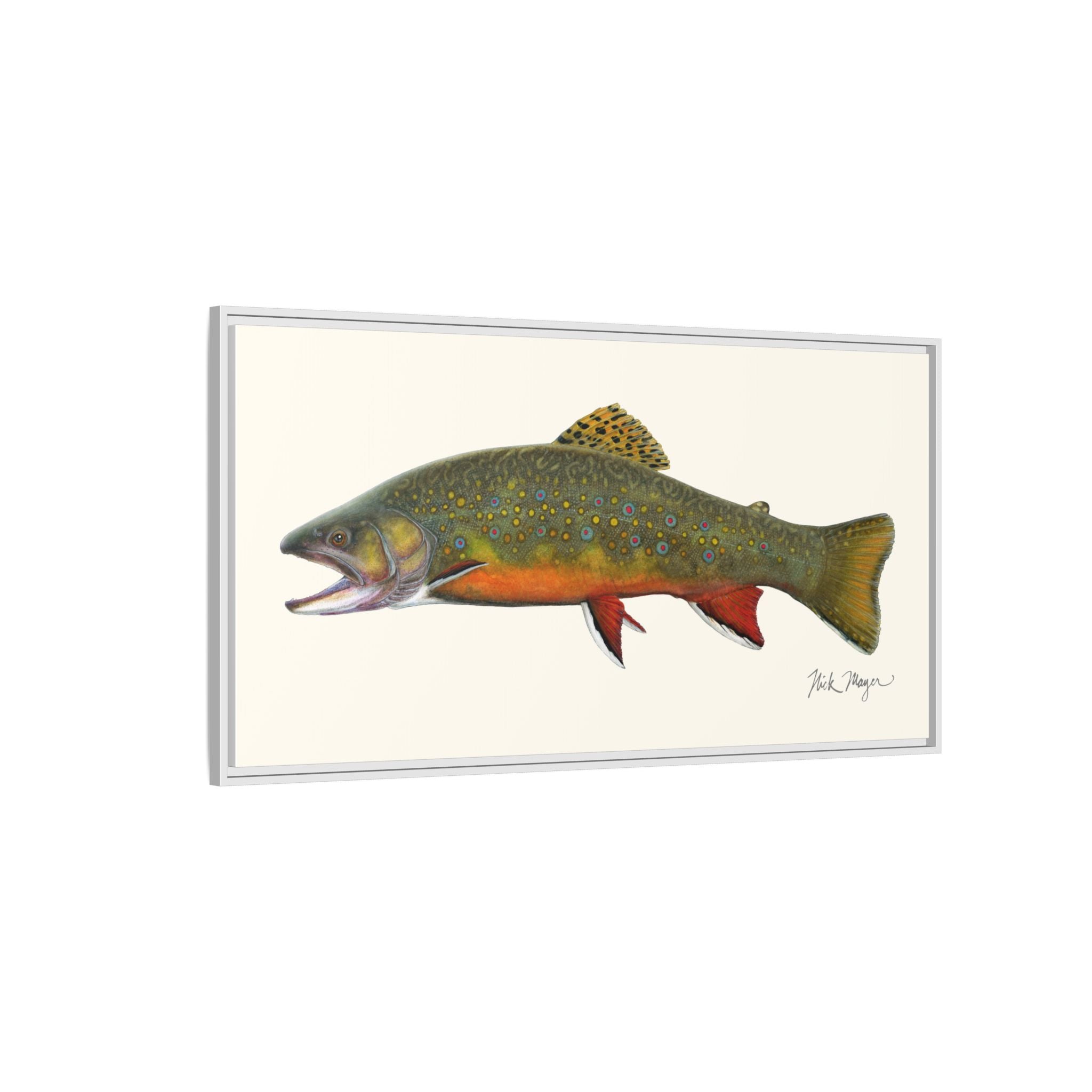 Beaver Pond Brook Trout Framed Canvas Print Printify