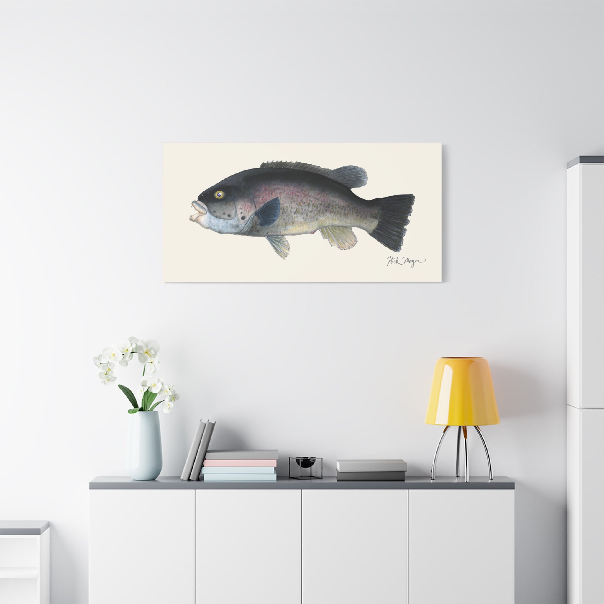 Tautog Canvas Print