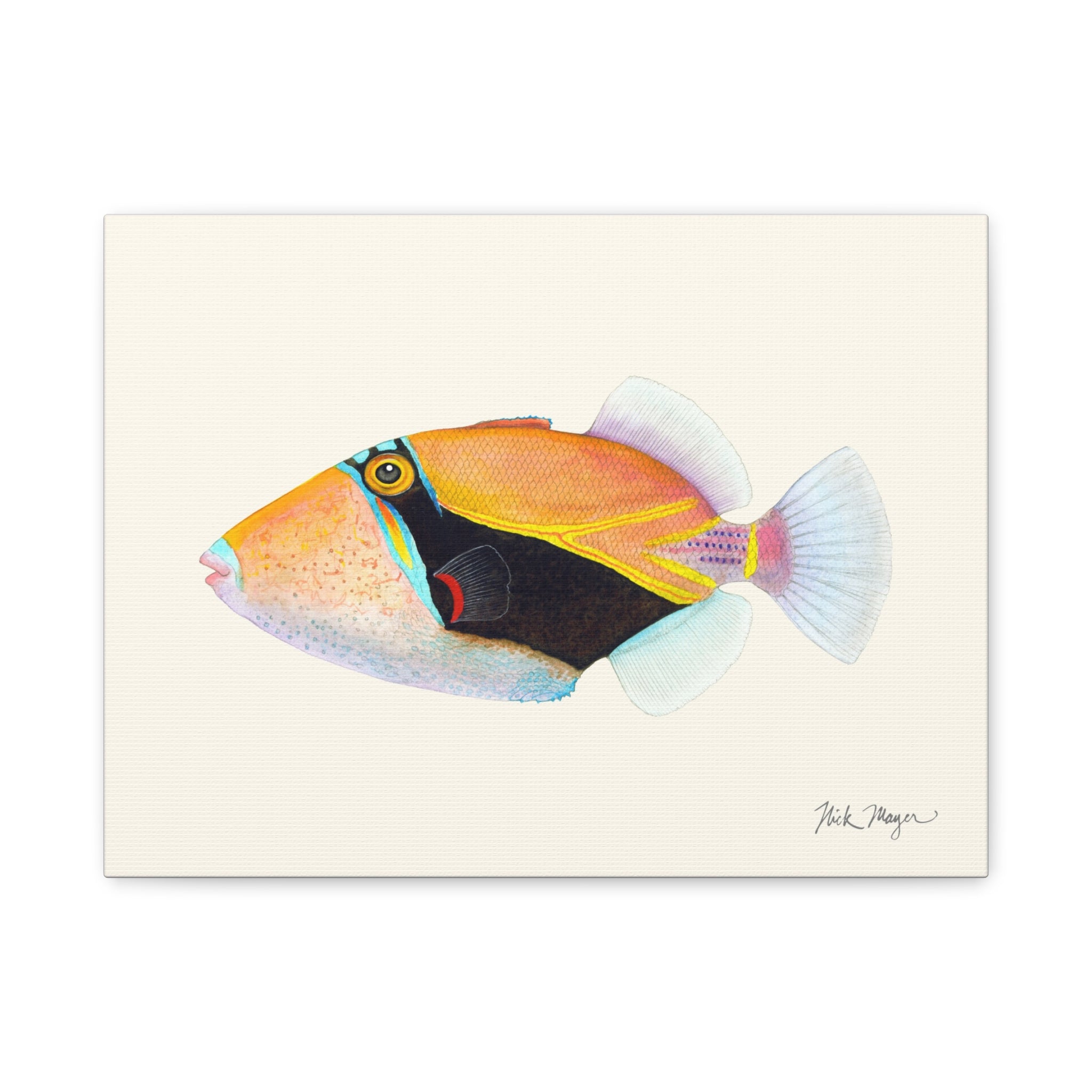 Humuhumunukunukuapua'a Canvas Print