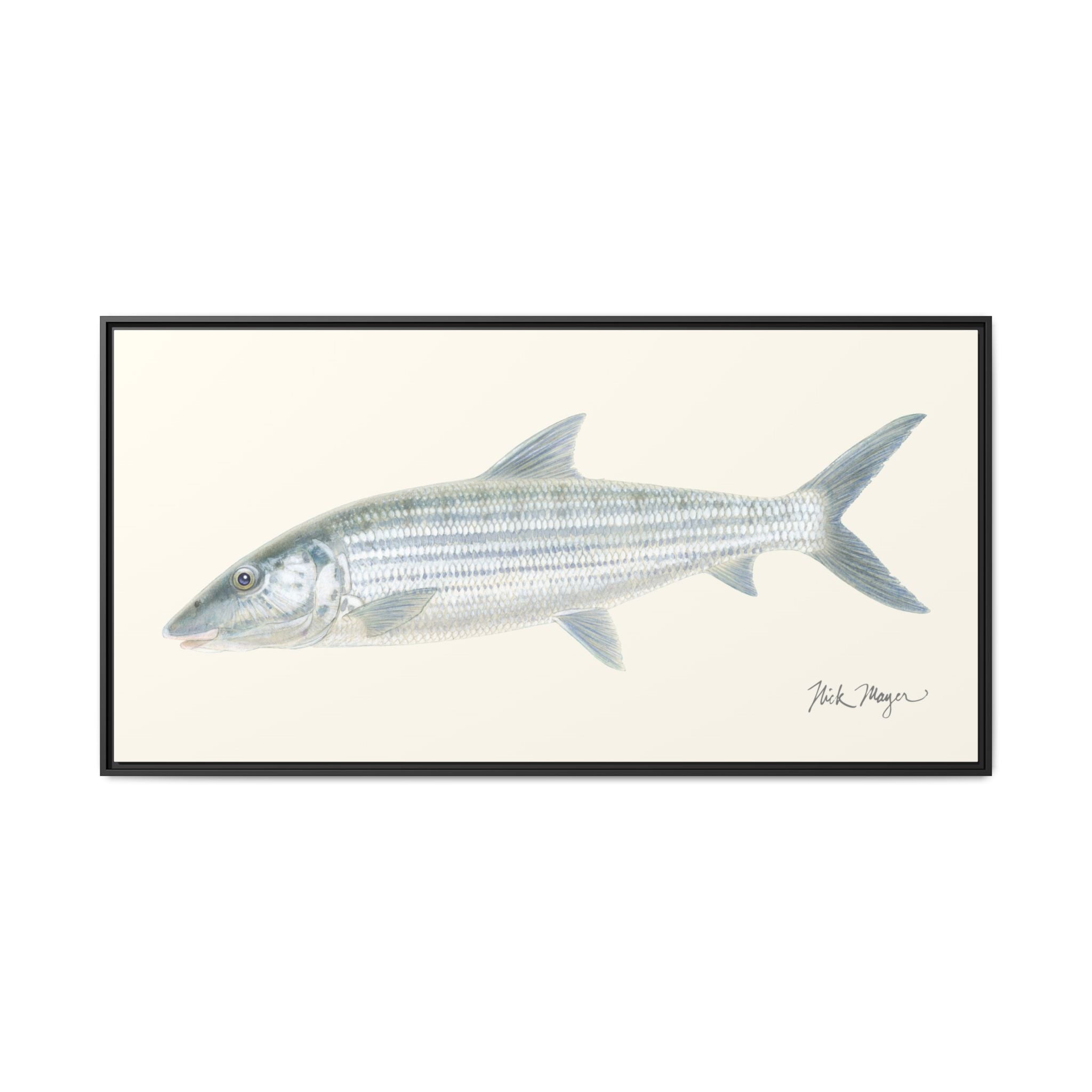 Bonefish Framed Canvas Print Printify