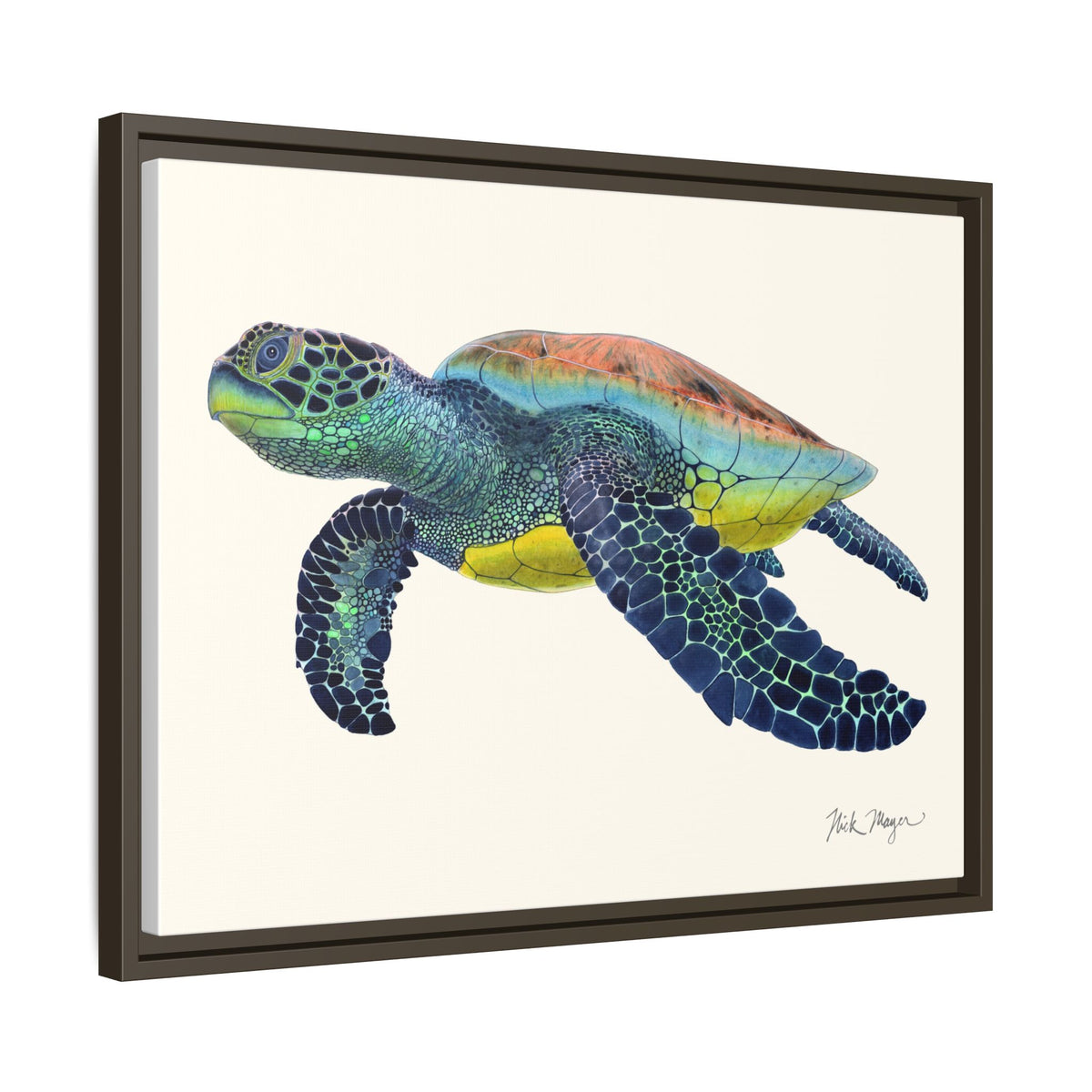 Green Sea Turtle II Framed Canvas Print Printify