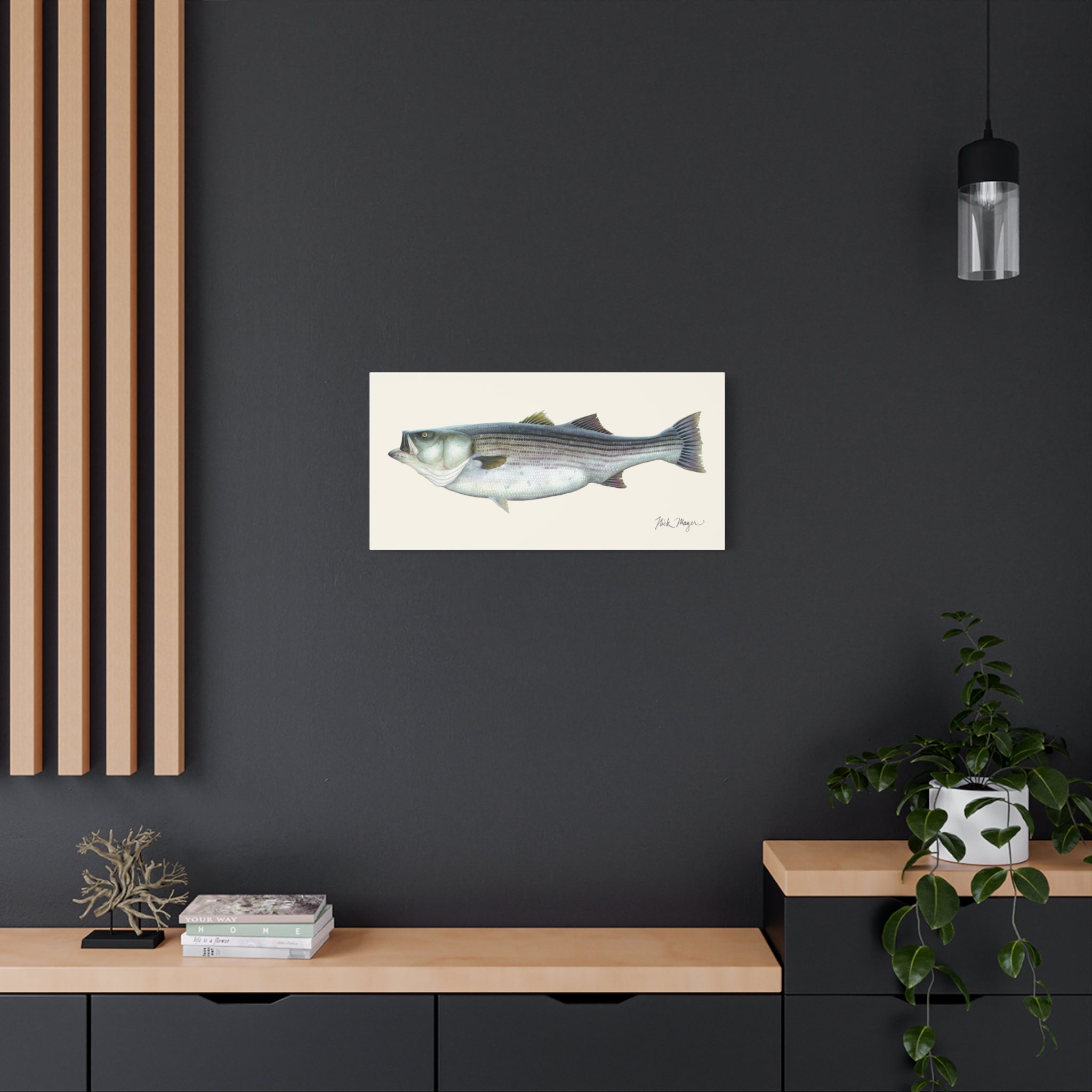Striped Bass 60 lbs Canvas Print