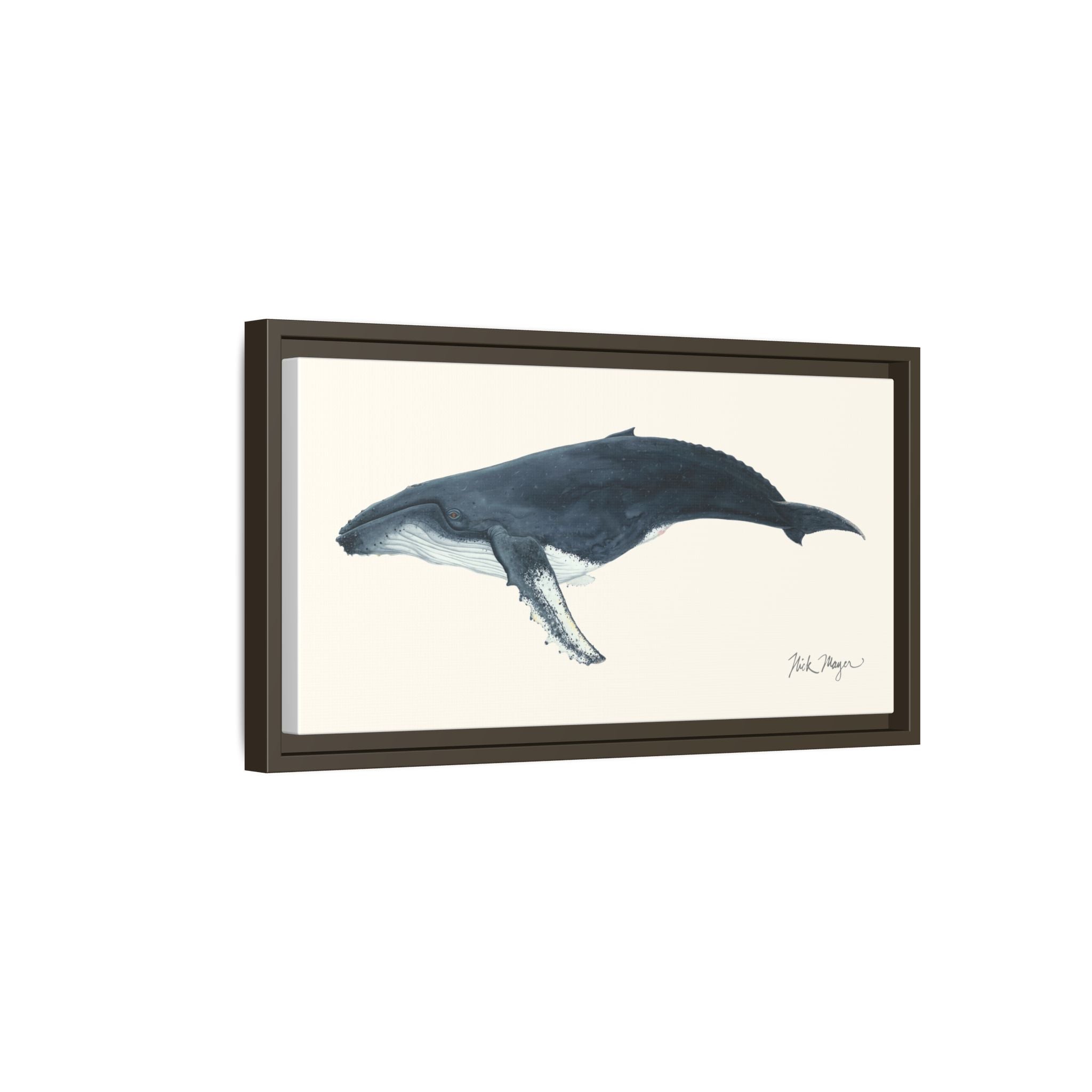 Humpback Whale Framed Canvas Print Printify