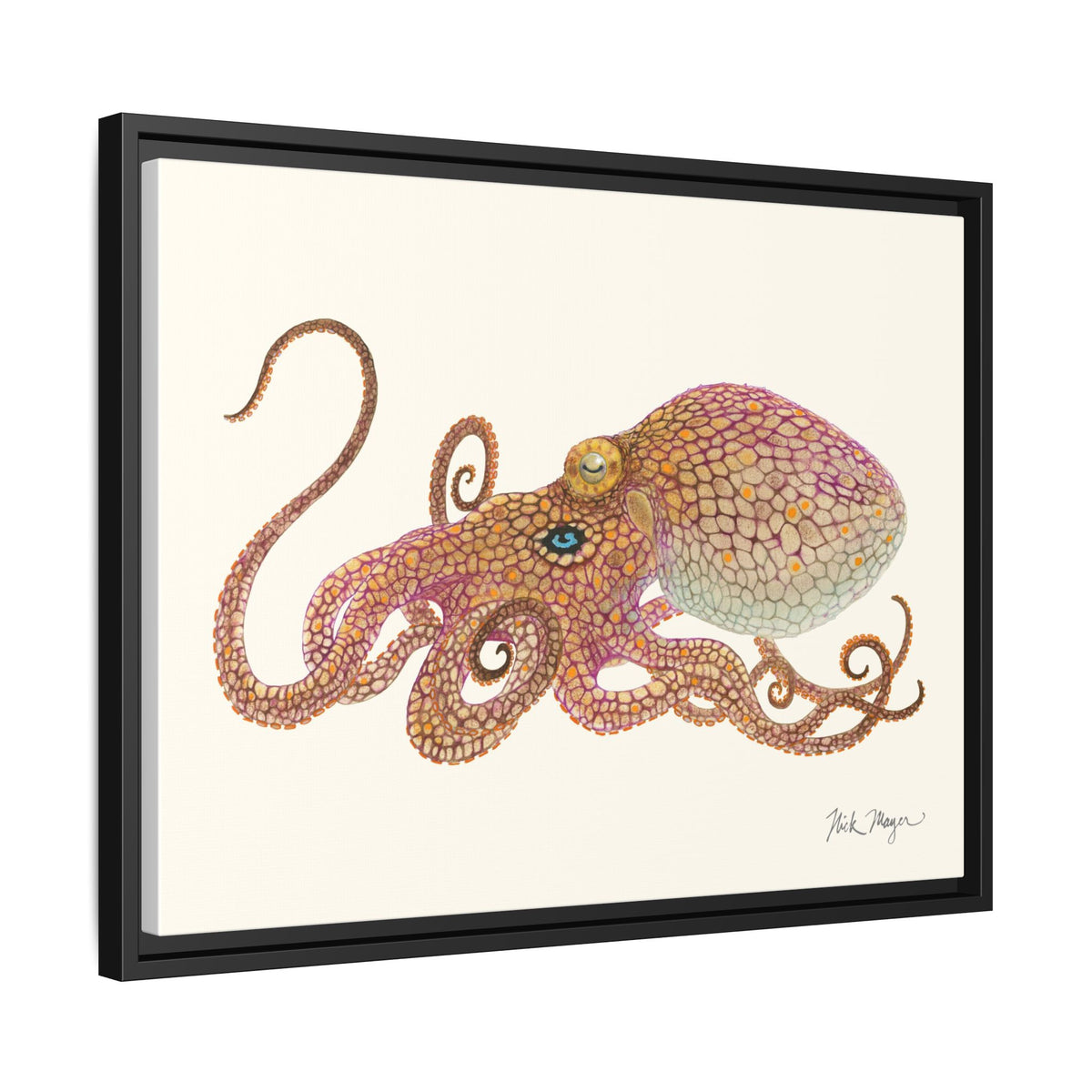 Two Spot Octopus Framed Canvas Print Printify