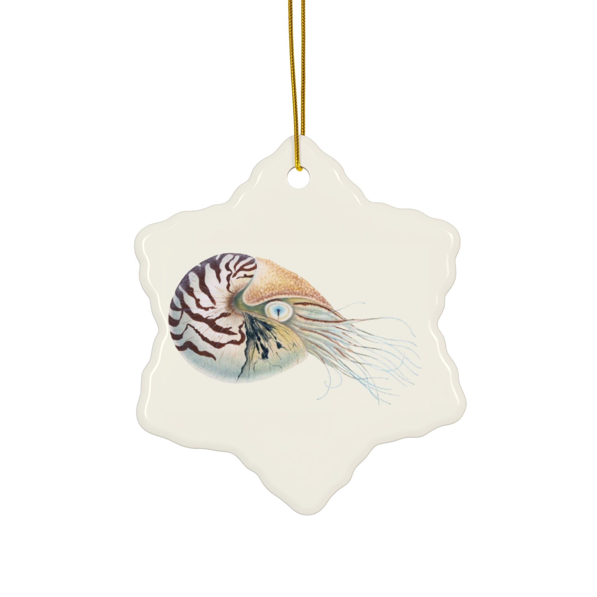 Chambered Nautilus Ceramic Ornament