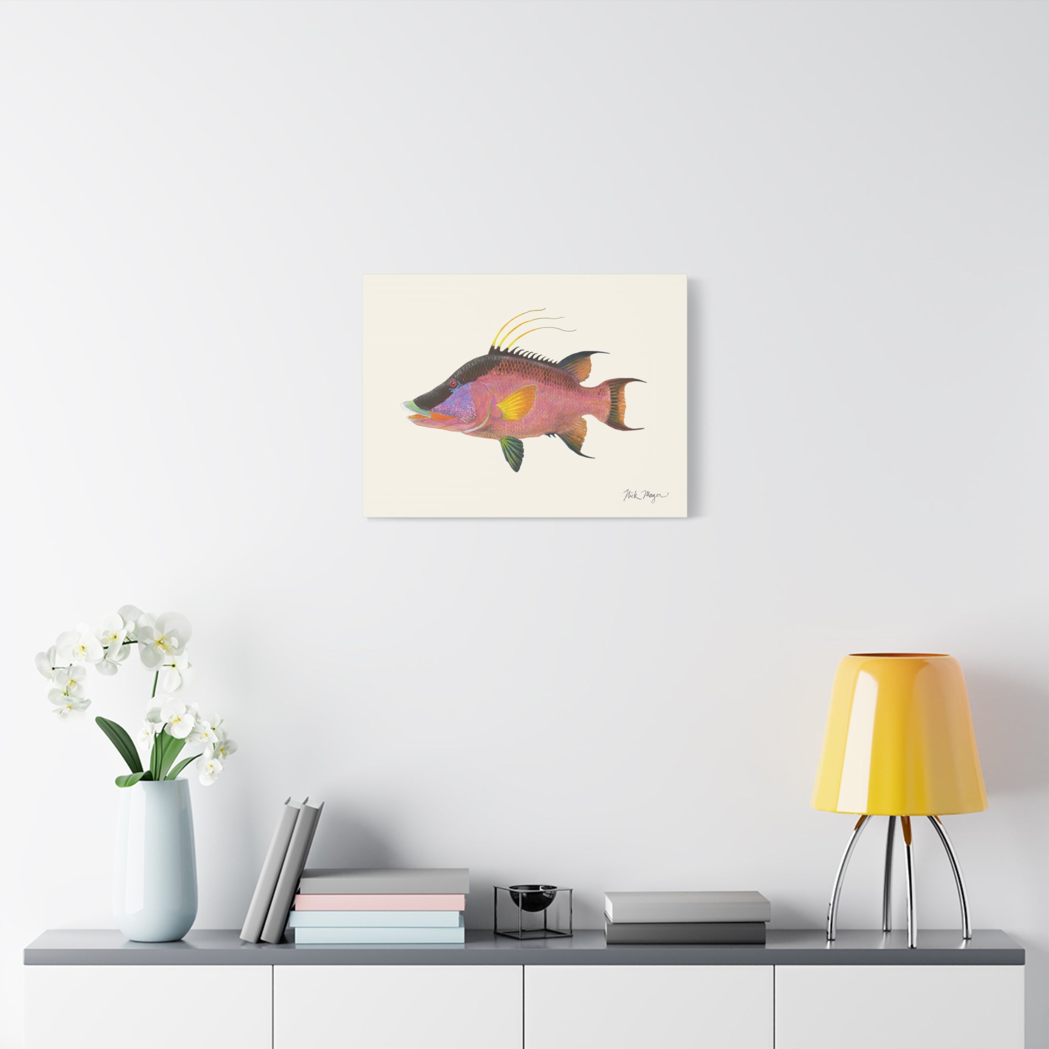 Hogfish Canvas Print