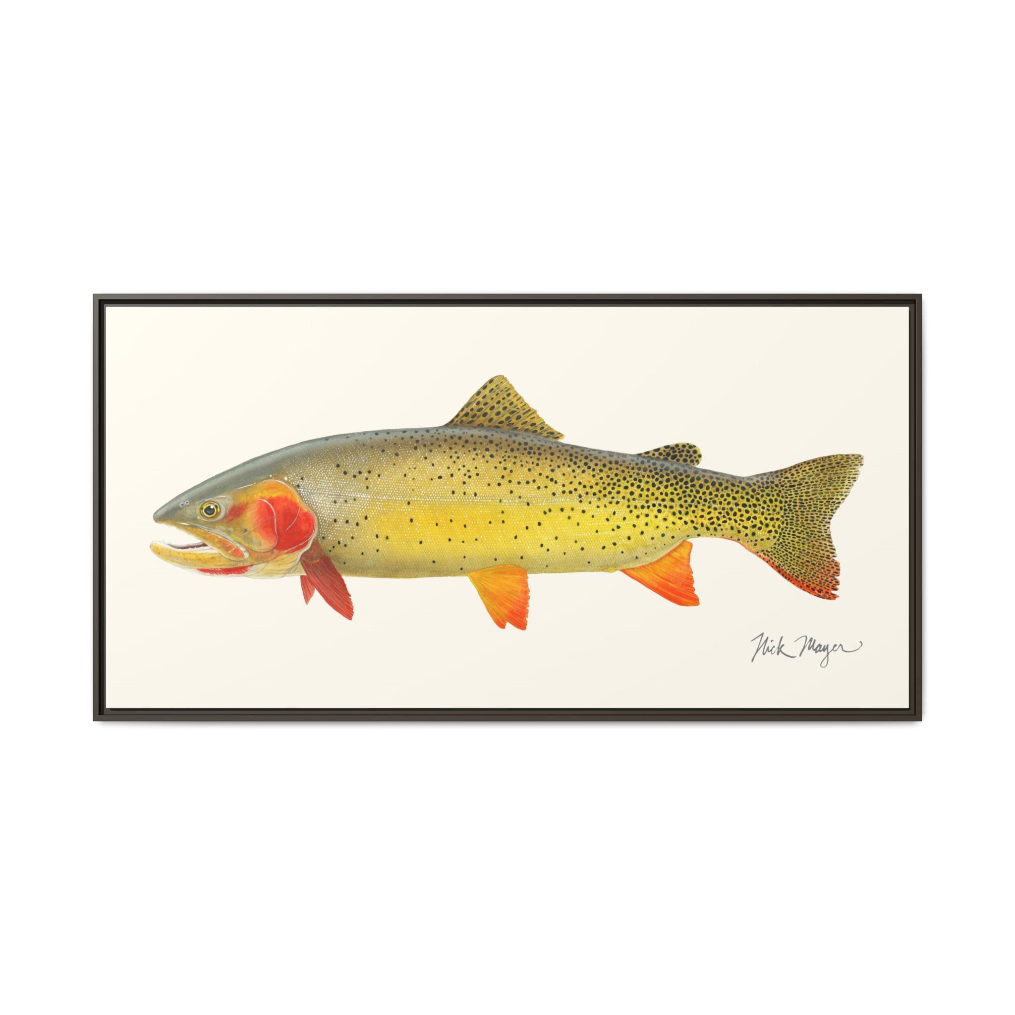 Cutthroat Trout I Framed Canvas Print Printify