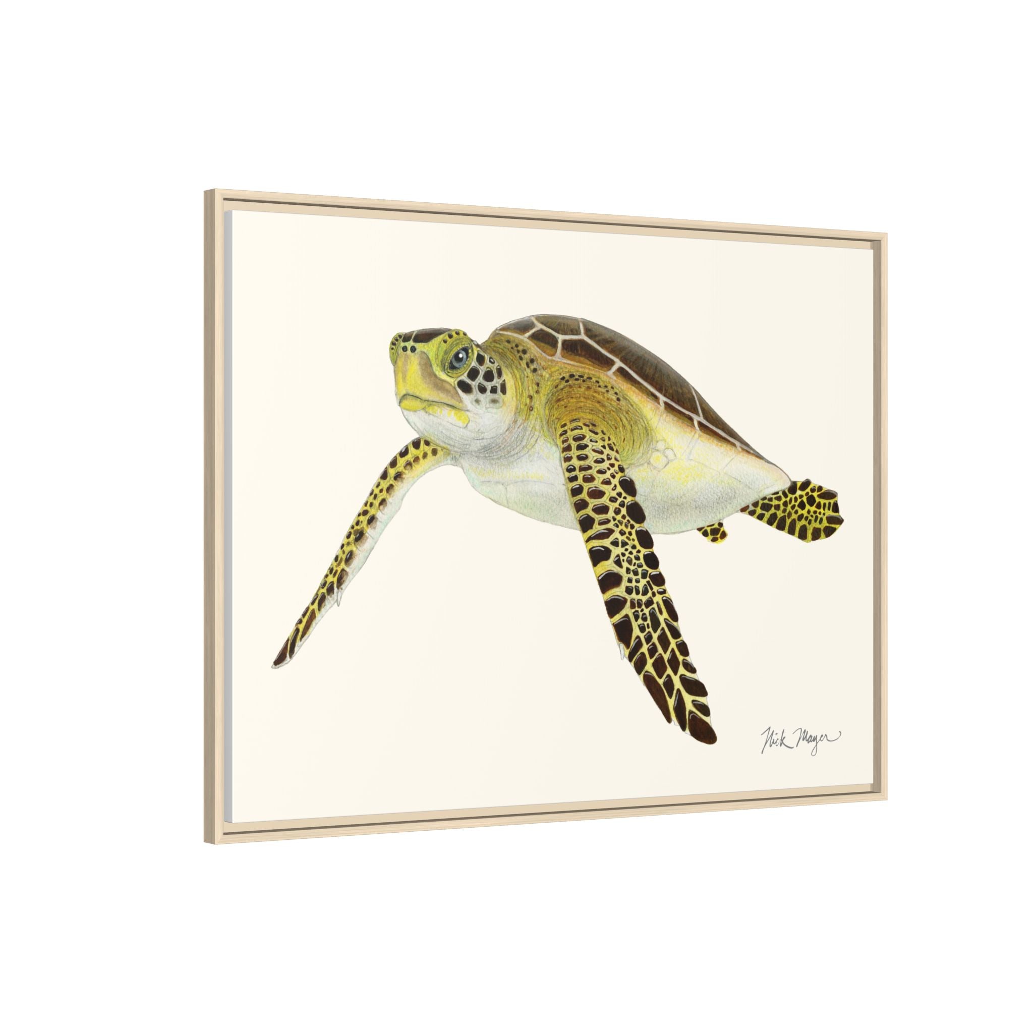 Green Sea Turtle III Framed Canvas Print Printify