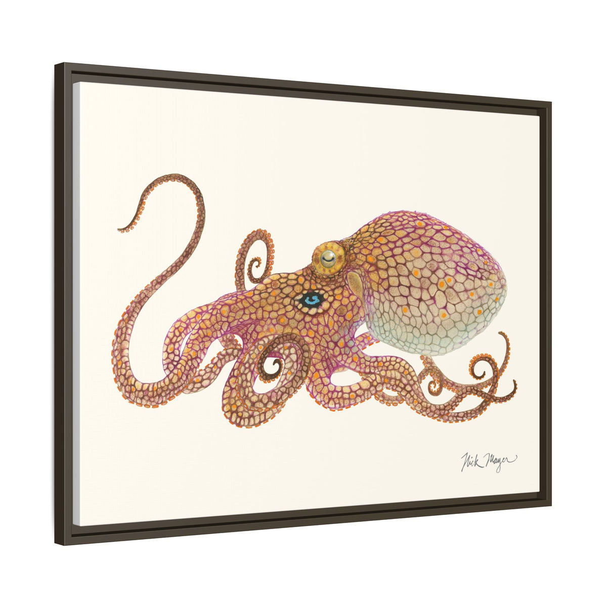Two Spot Octopus Framed Canvas Print Printify
