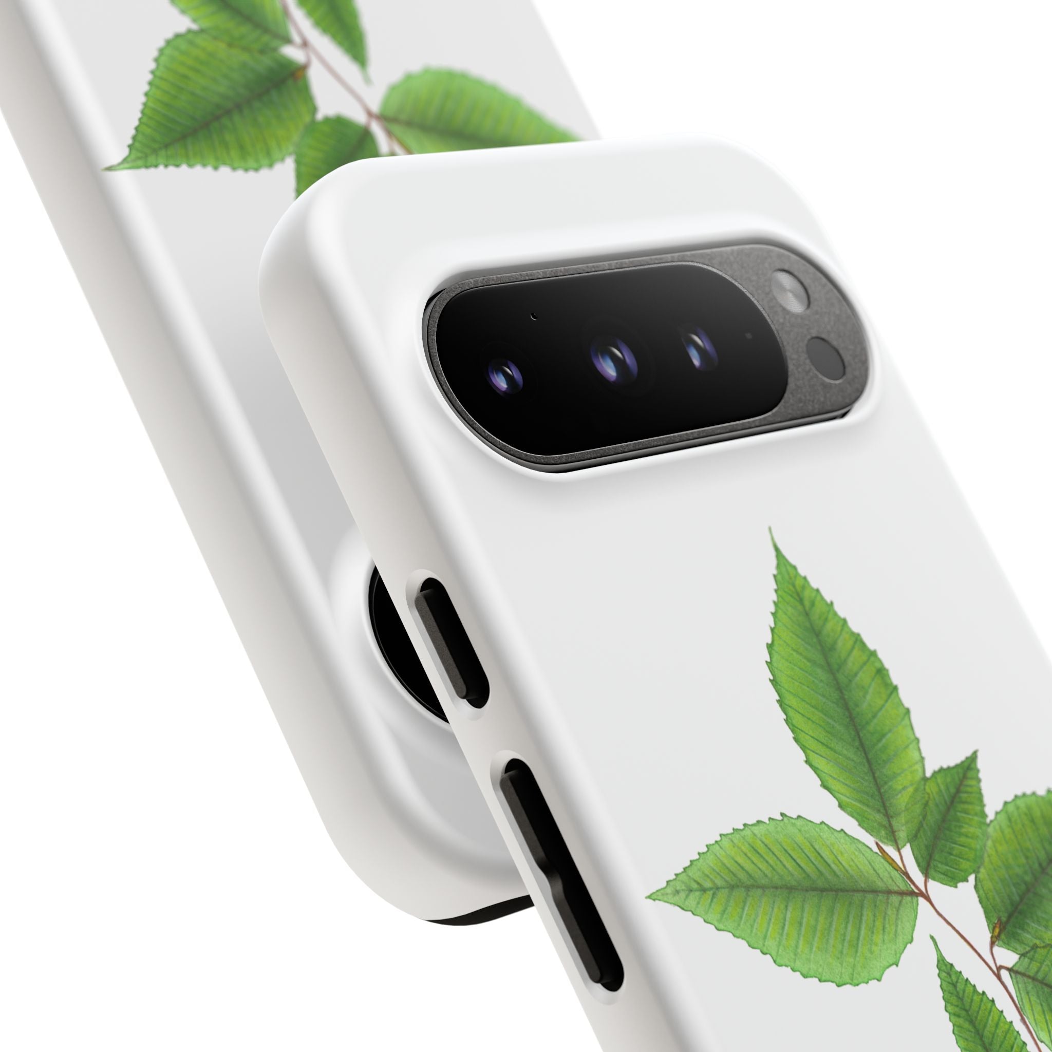 American Beech Phone Case (Samsung)